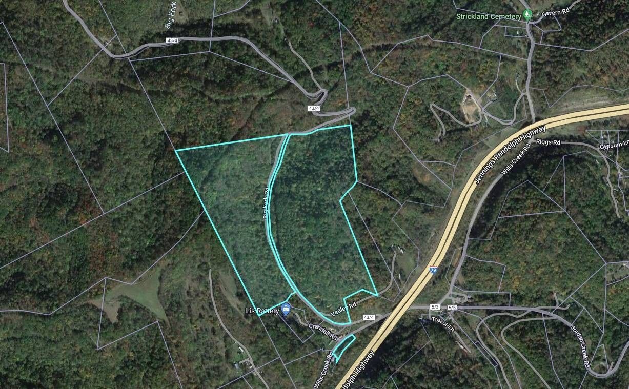 80 Acres, 0 Big Fork Road, Elkview, WV 25071 Land and Farm