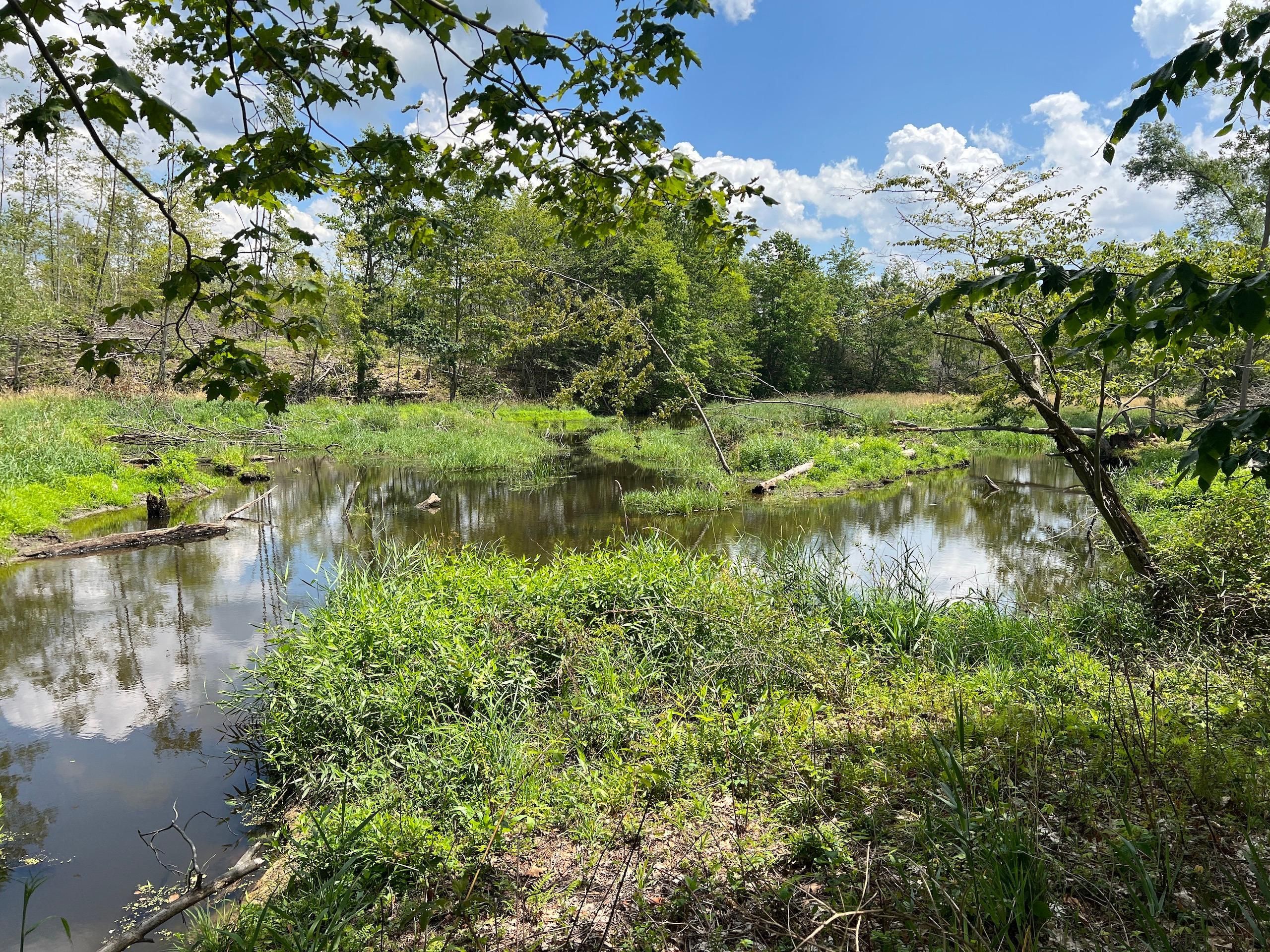 00 Reeds Corners Road, Lot WP001, Conneautville, PA 16406 Land and Farm