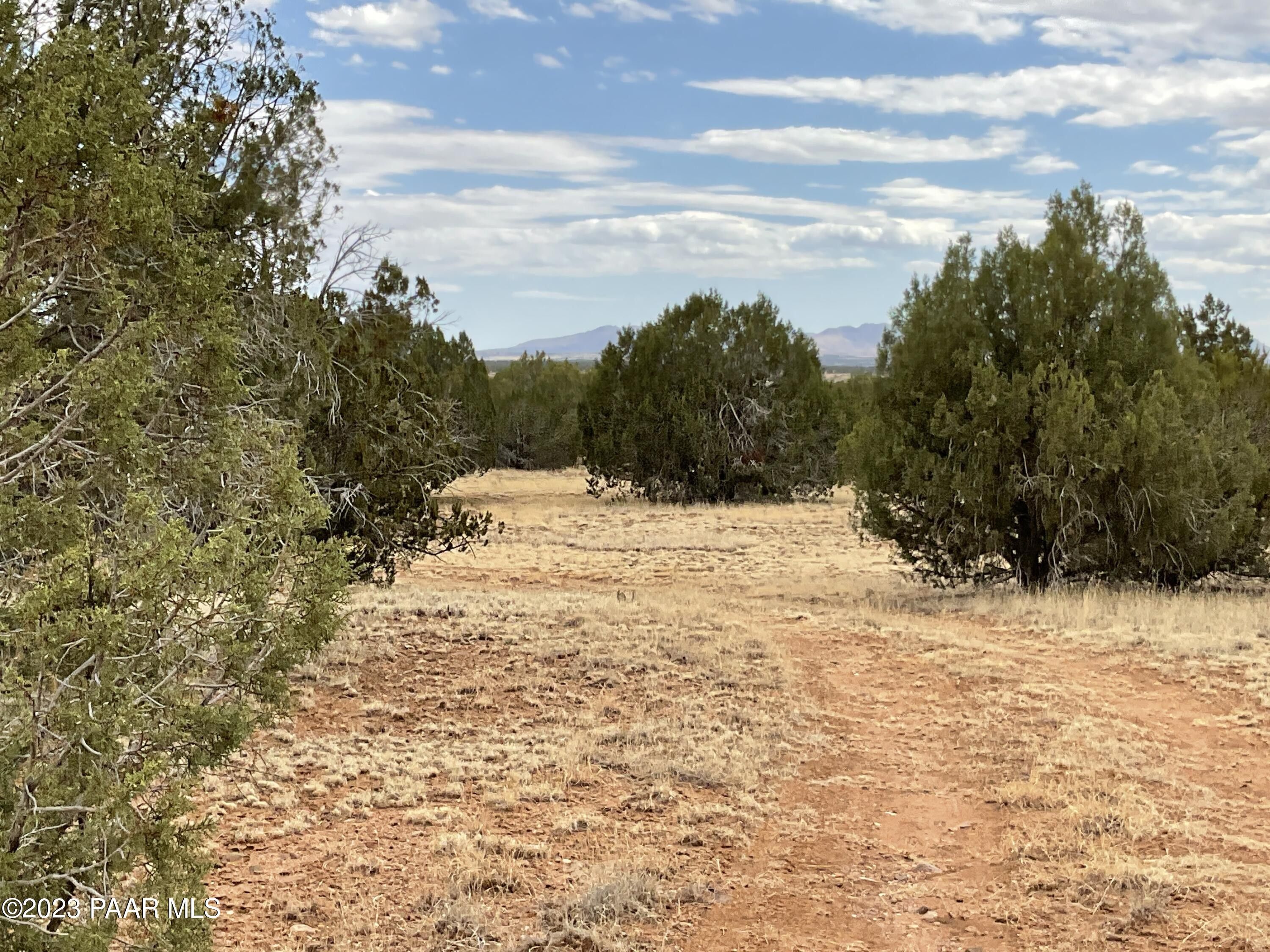 36.35 Acres, 37515 W Howling Coyote Road, Seligman, AZ 86337 Land and