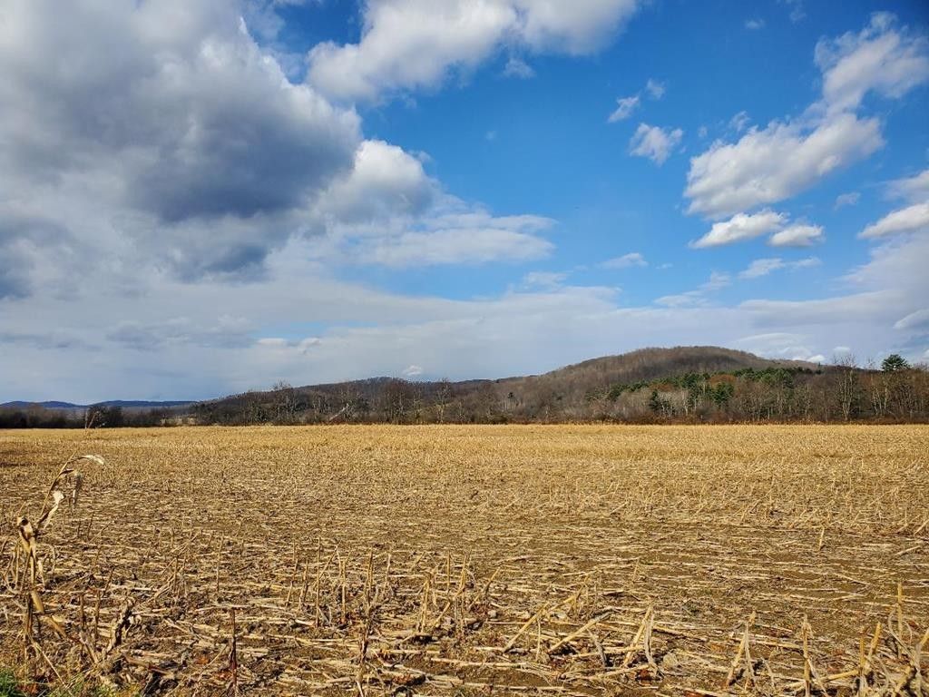 73.93 Acres, 72 & 30 Pinney Lane, Shinglehouse, PA 16748 Land and Farm