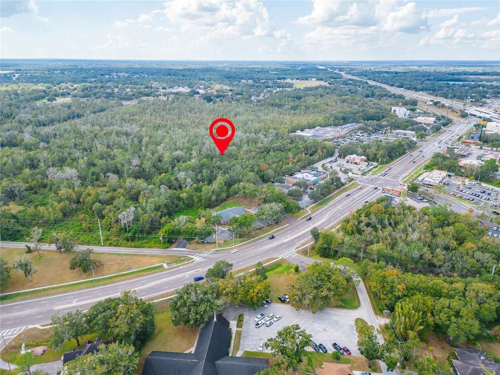0 THONOTOSASSA ROAD, Plant City, FL 33563 MLS T3485110 Land and Farm
