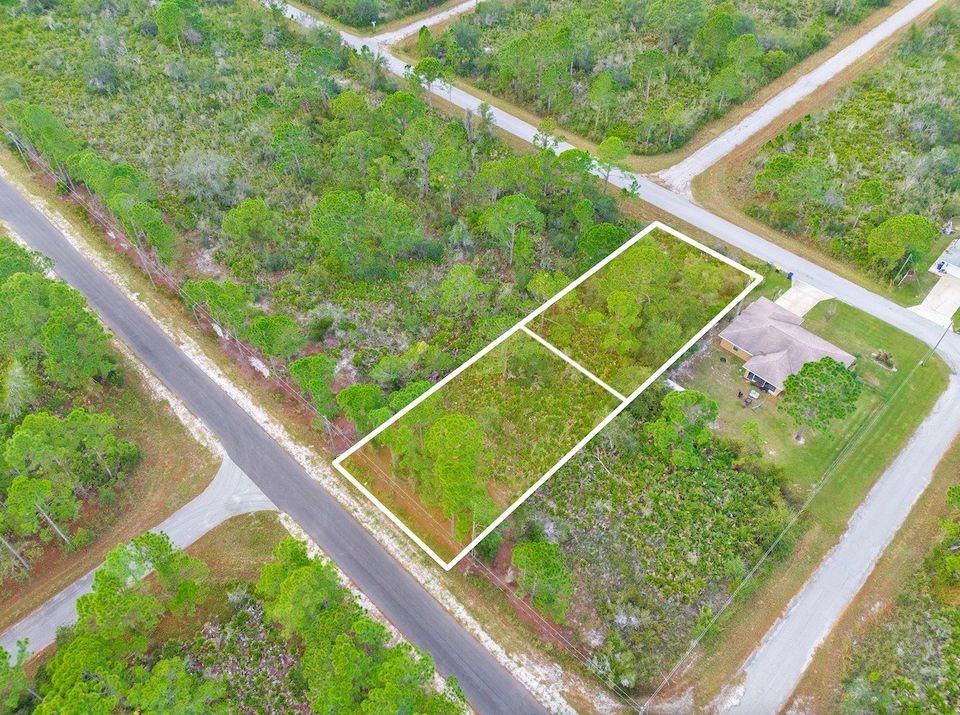 123 Wildcat St NW, Lake Placid, FL 33852 MLS 0.46 Acre, Back to Back, NO HOA, Seller