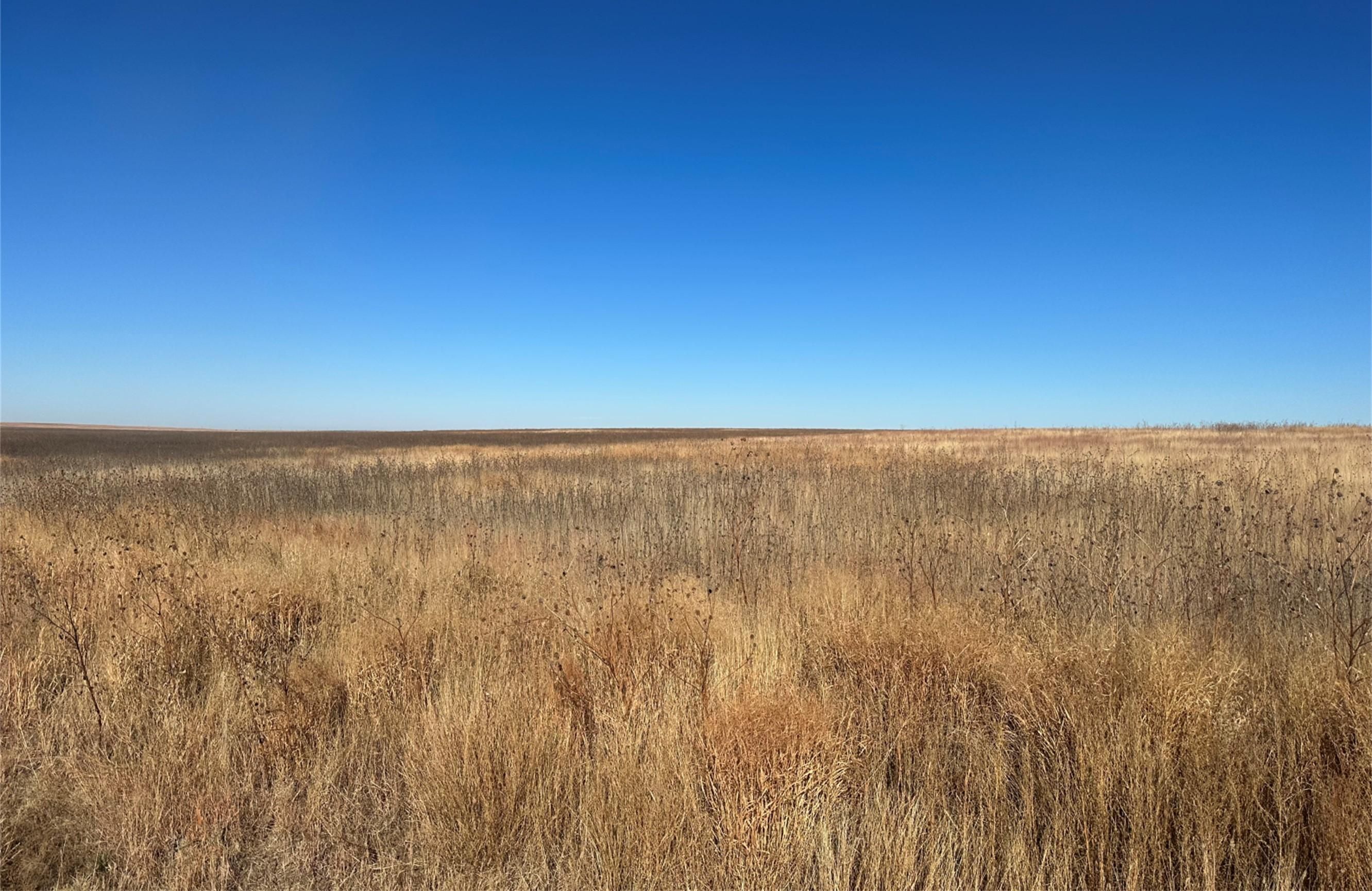 160 acres in Lakin, KS, 67860 Land and Farm