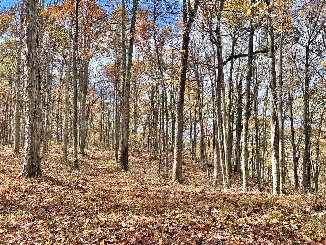 West Virginia 4, Gassaway, WV 25113 Land and Farm