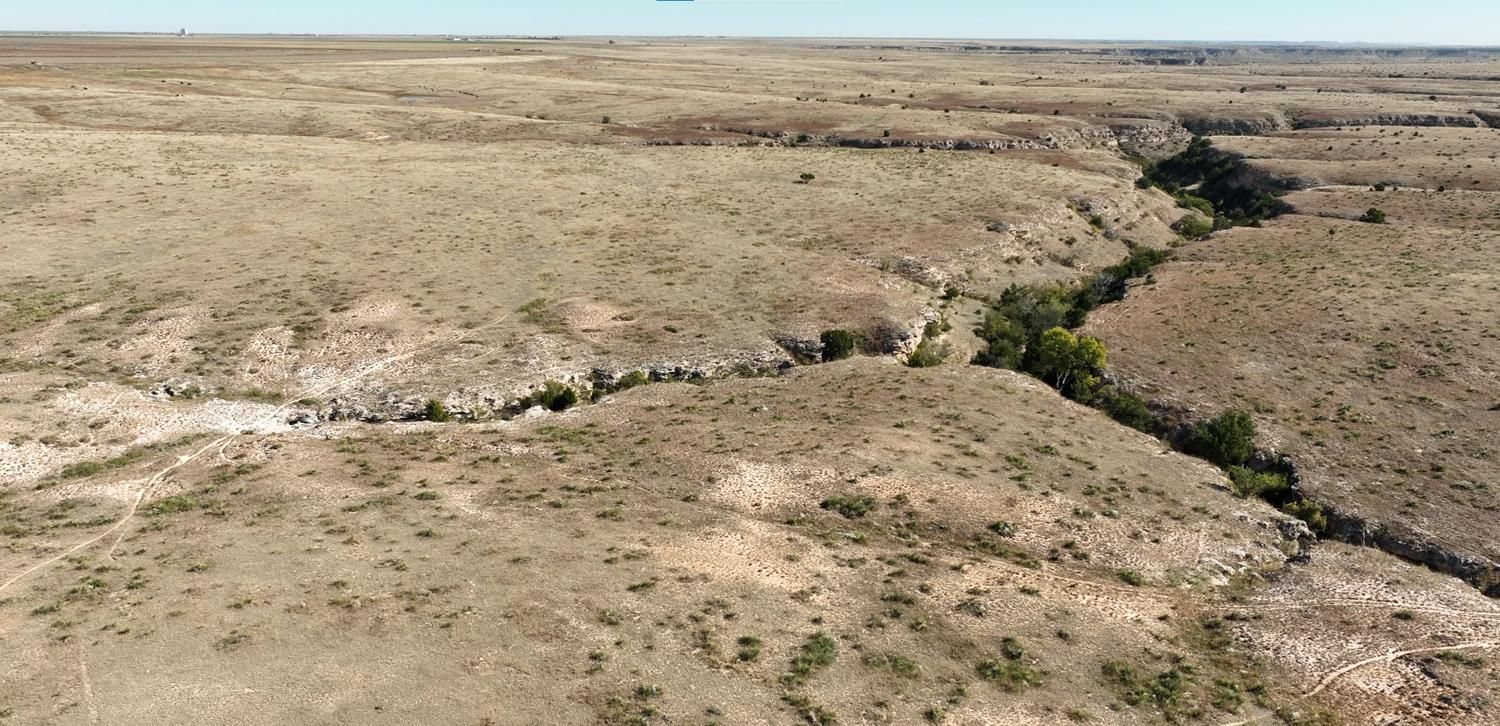 1,255 Acres, TX 79083 Land and Farm