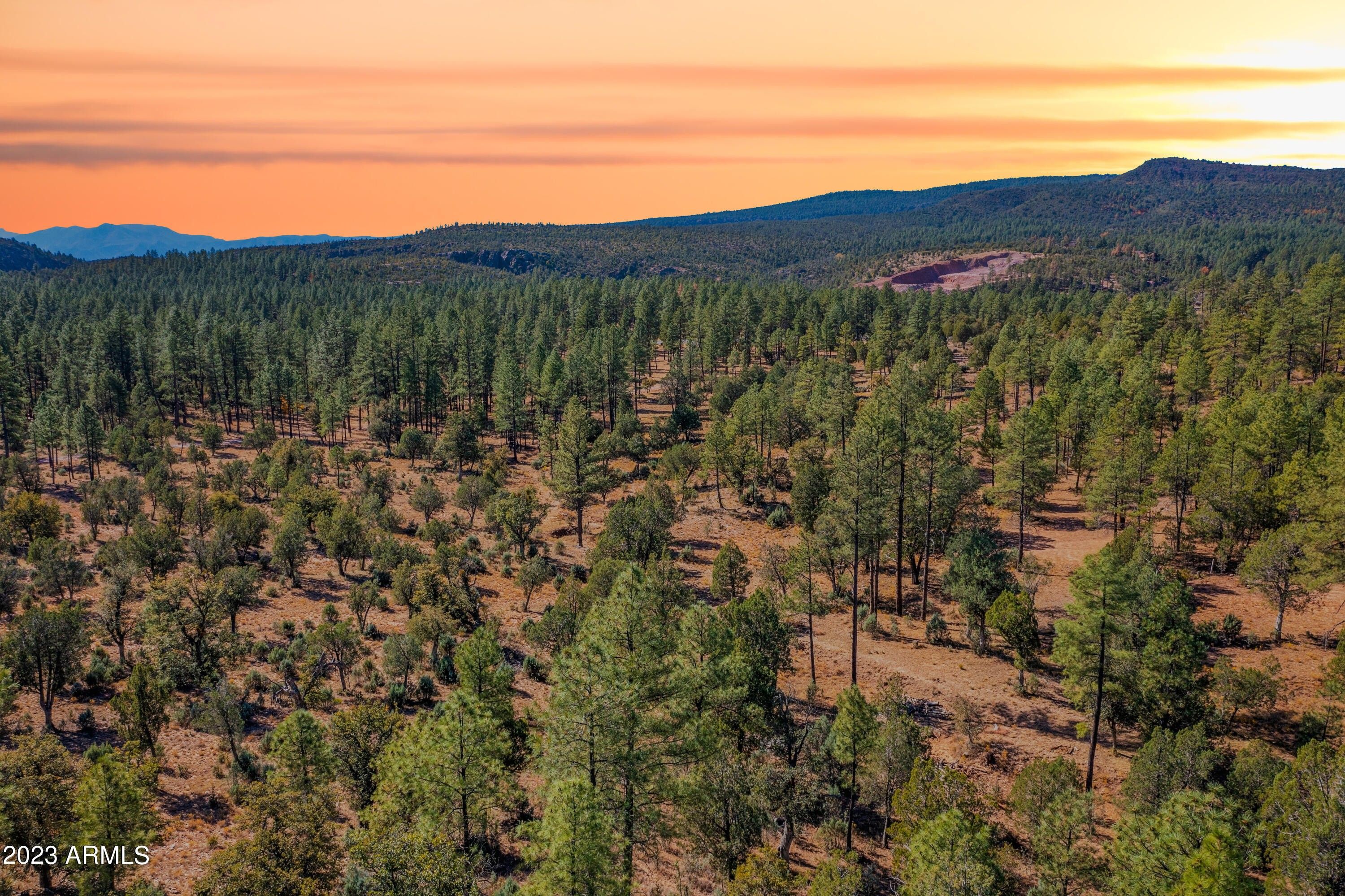 1.4 Acres, 0000 Fawn 4 Drive, Pine, AZ 85544 Land and Farm