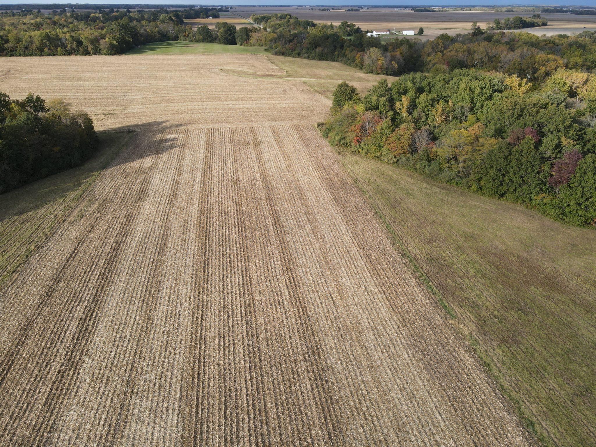 60 Acres, 2061 N 425TH Street, Vandalia, IL 62471 Land and Farm