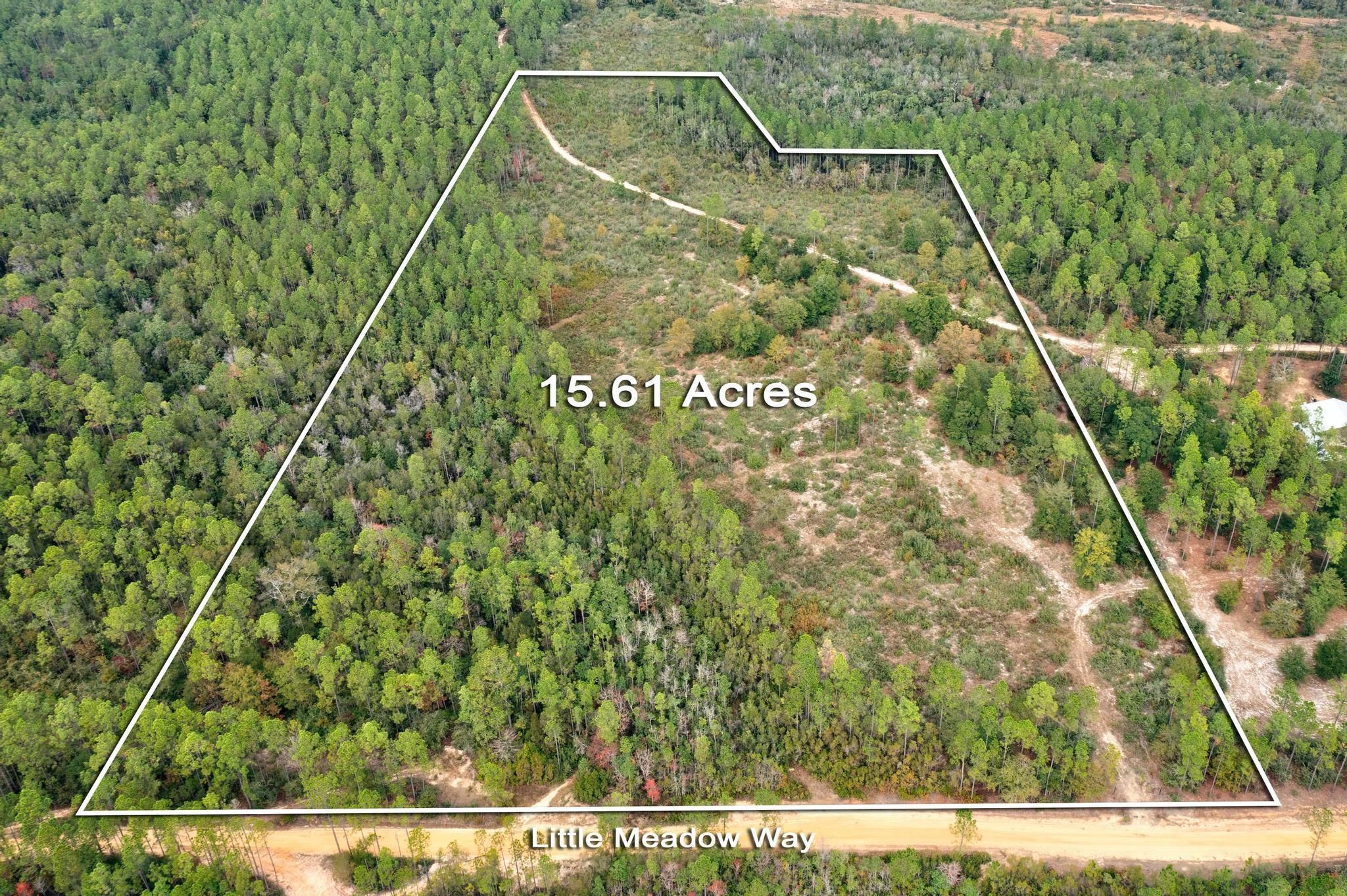 15.61 Acres, 365 Little Mdw Wy, Laurel Hill, FL 32567 Land and Farm