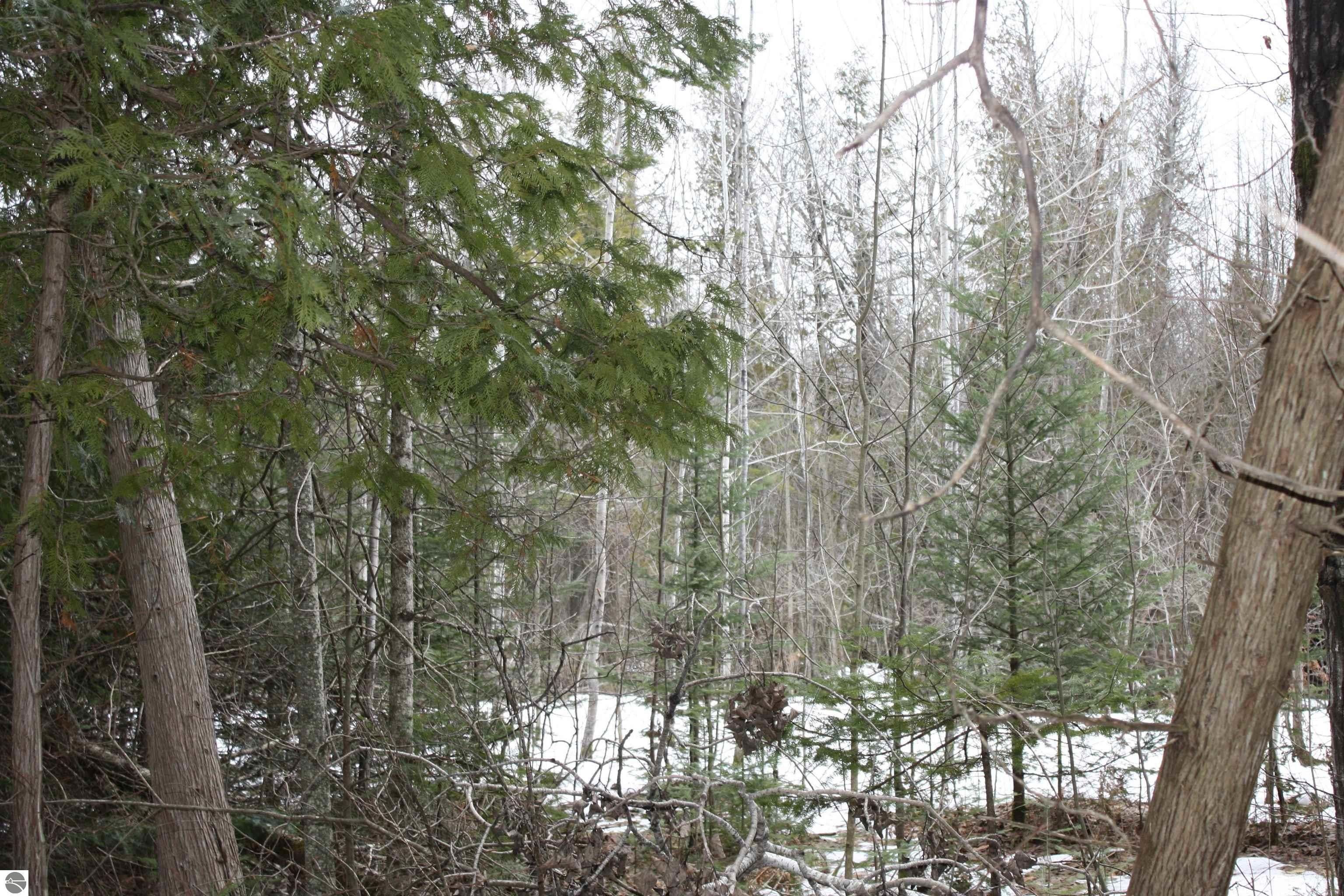 40 Acres, 0 State Road, Kalkaska, MI 49646 Land and Farm