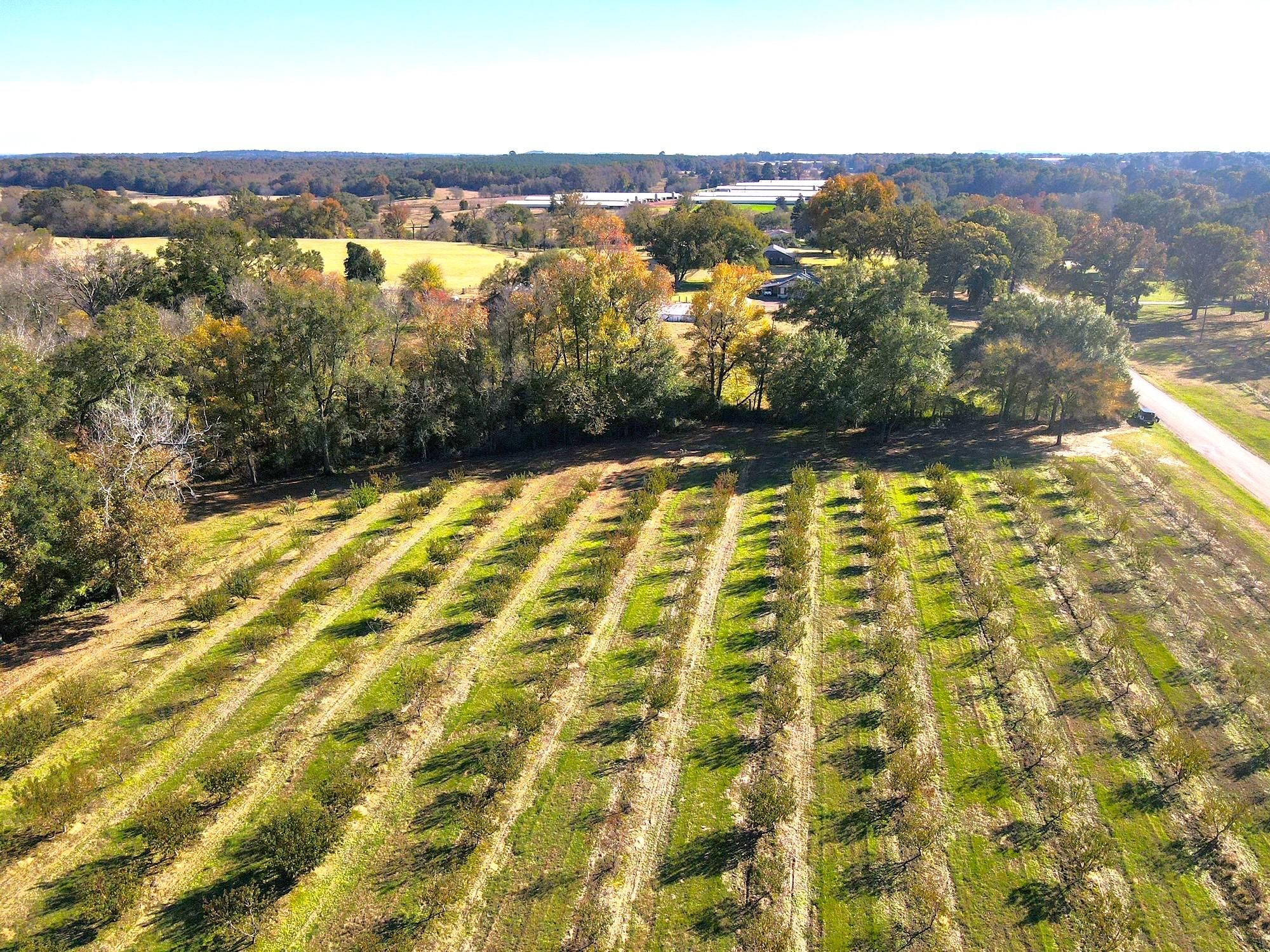 County Road 4230, Pittsburg, TX 75686 Land and Farm