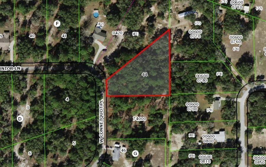 1.27 Acres, 5512 W PLACE, Dunnellon, FL 34433 Land and Farm