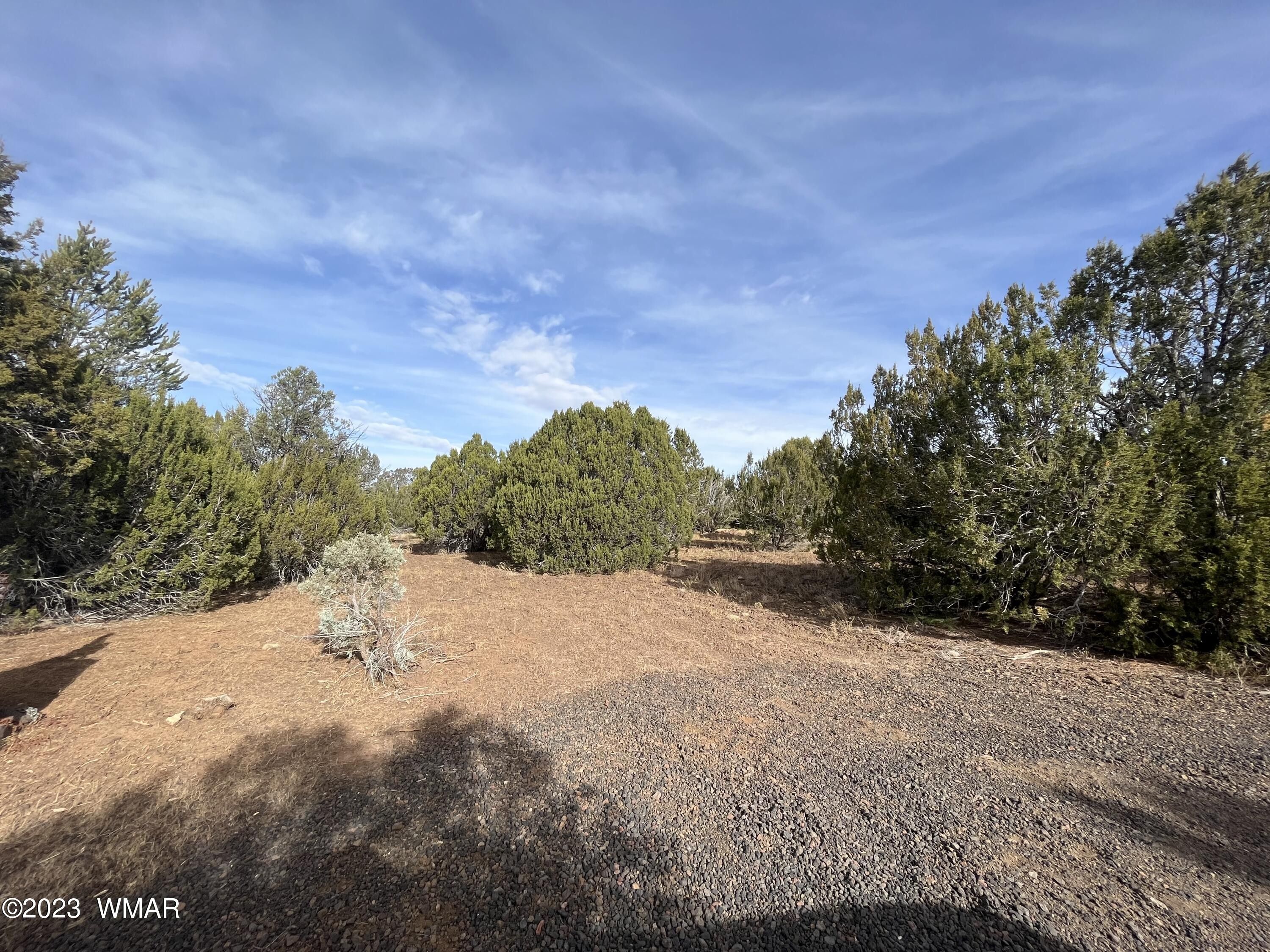 5.15 Acres, 5 N 3085, Vernon, AZ 85940 Land and Farm