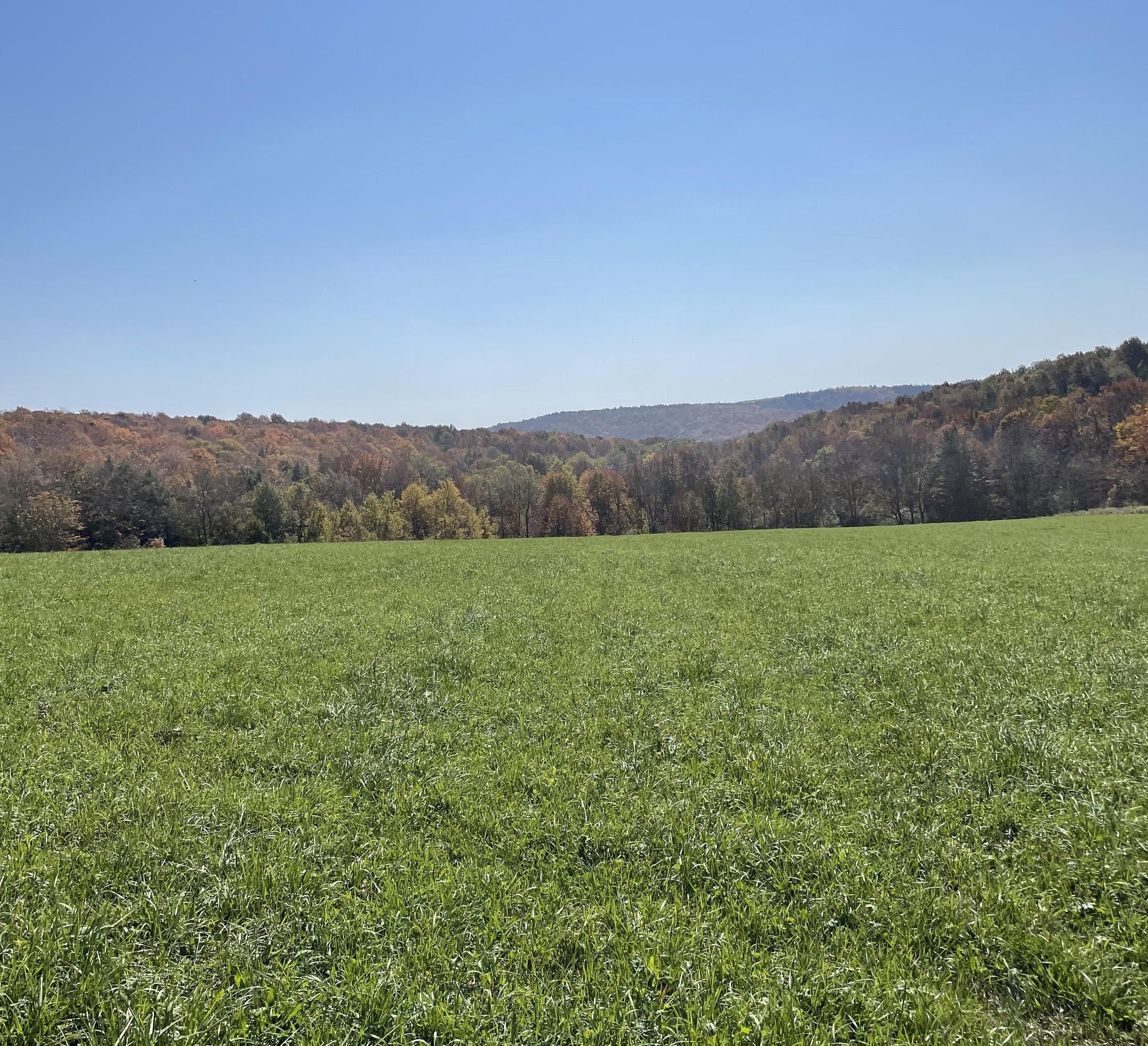38 Acres, 9440 Skaneateles Turnpike, Hubbardsville, NY 13355 Land and