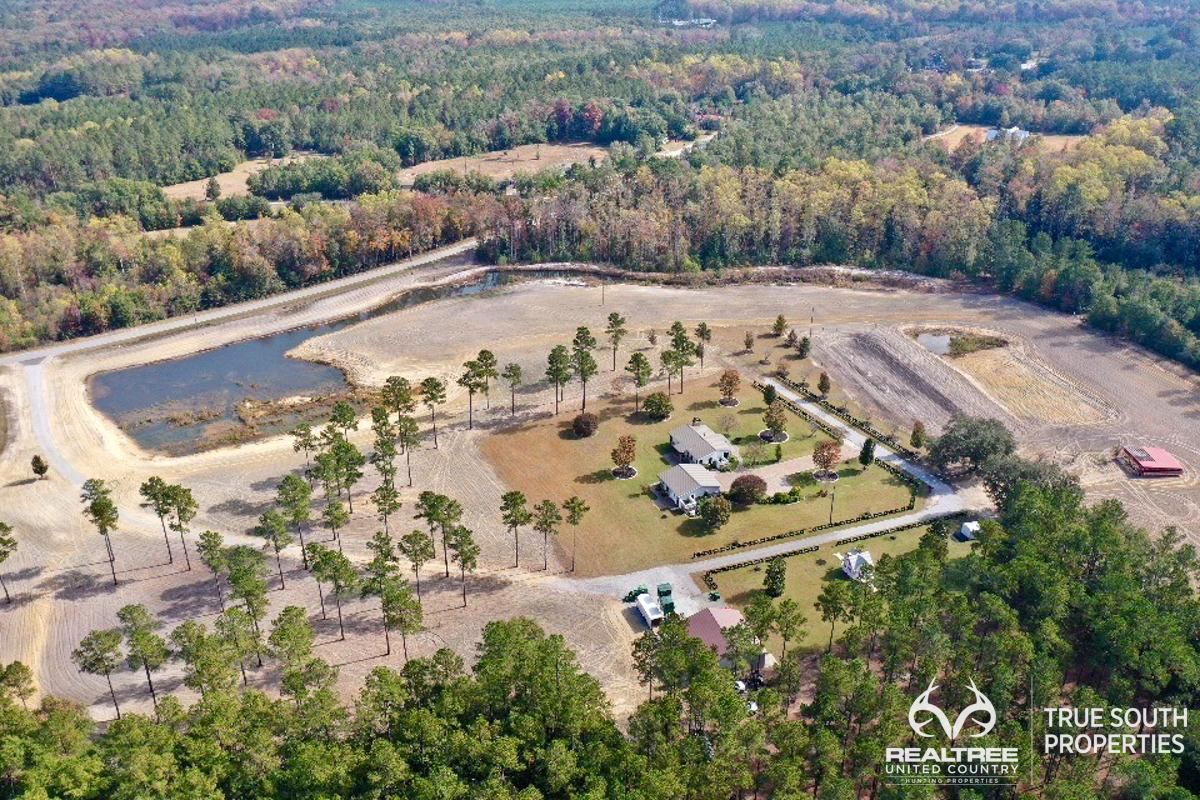 44.3 Acres, 15705 Grays Highway, Early Branch, SC 29916 Land and Farm