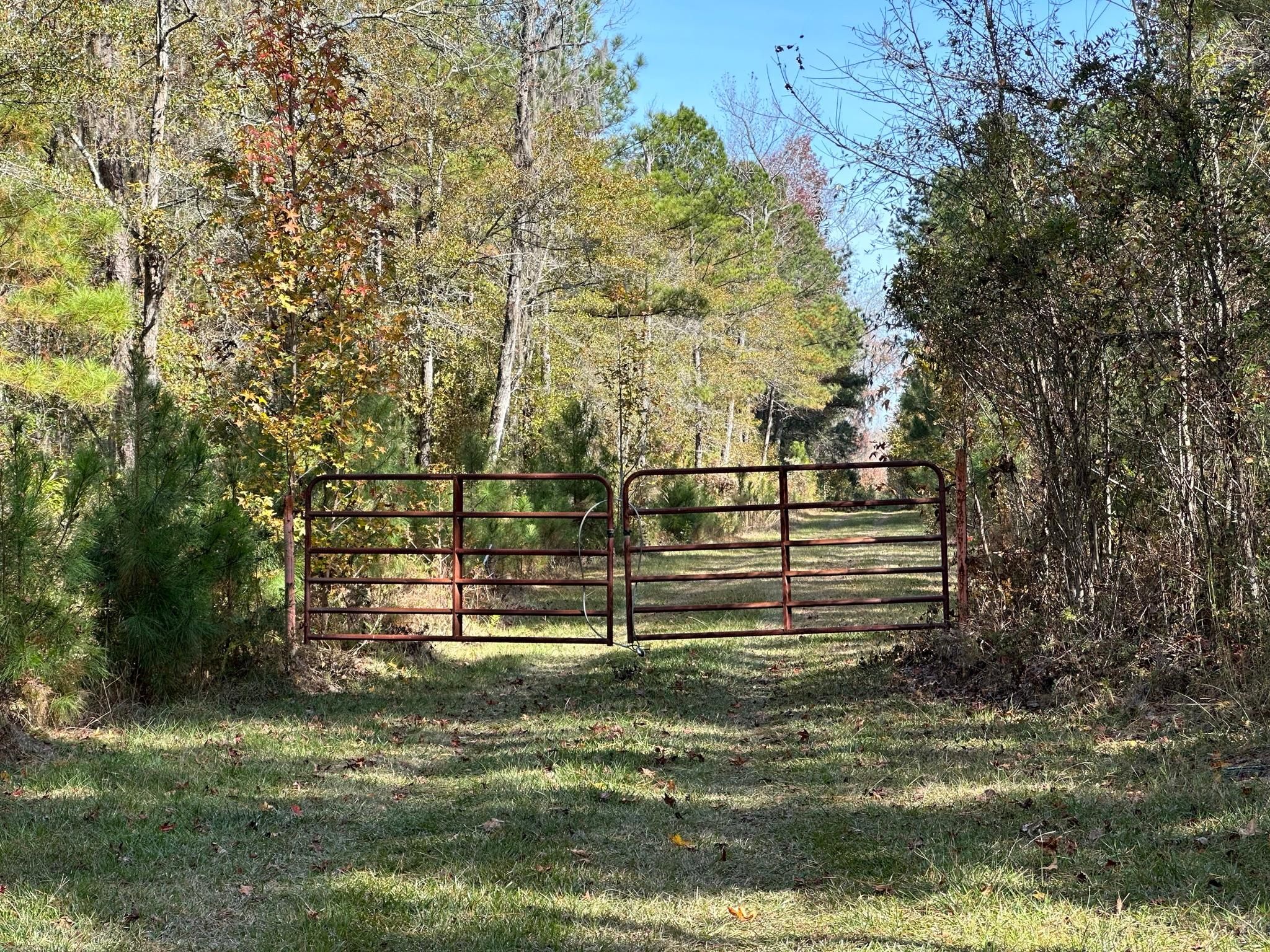 144 Acres, Nichols, SC 29581 Land and Farm