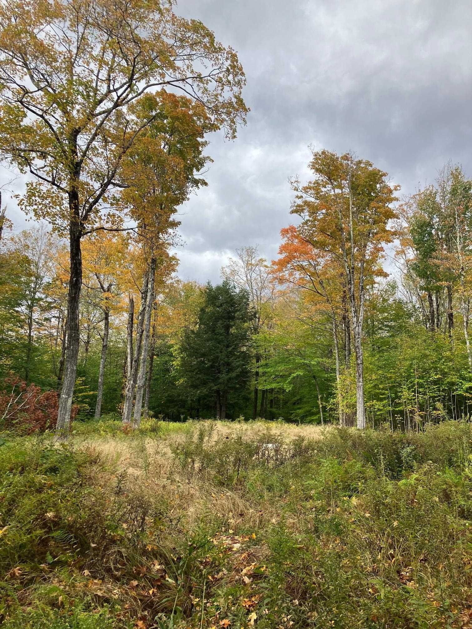 12.73 Acres, 30 Russet Hill Road, Londonderry, VT 05148 Land and Farm