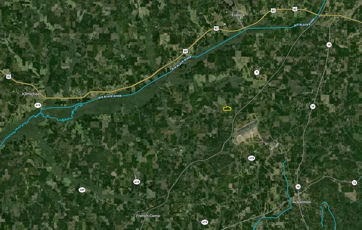 99 Acres, Vance Road, LotWP001, Ackerman, MS 39735 Land and Farm