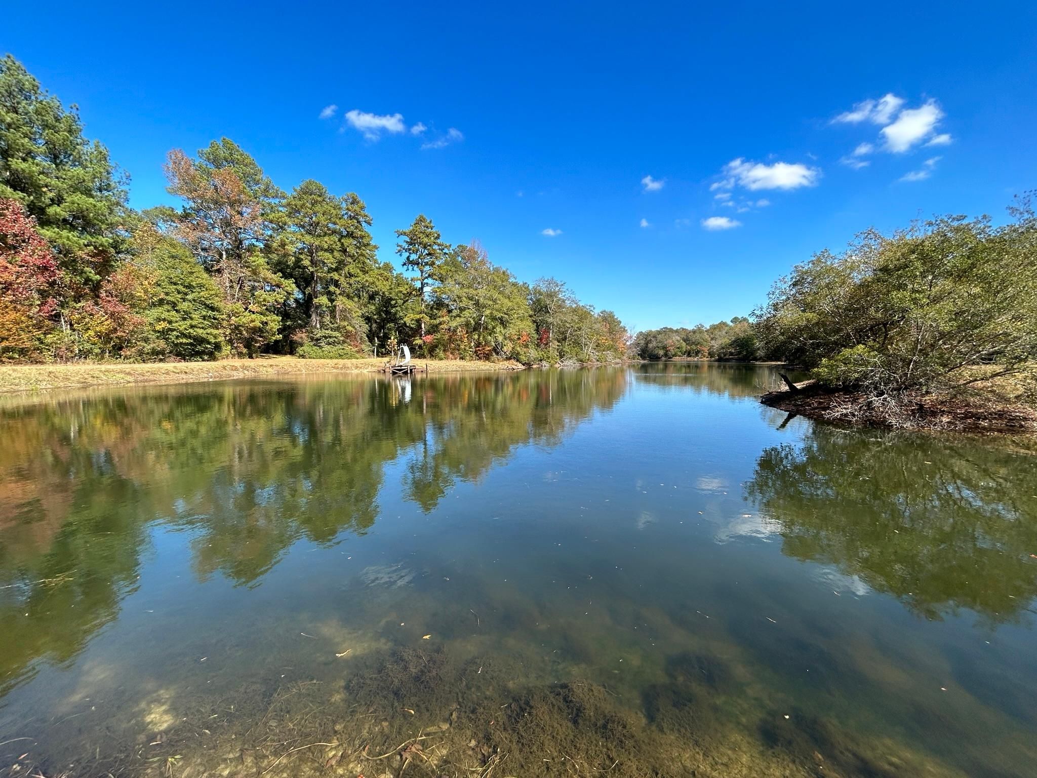 Palmer Hollinghead Road, Buckatunna, MS 39322 Land and Farm