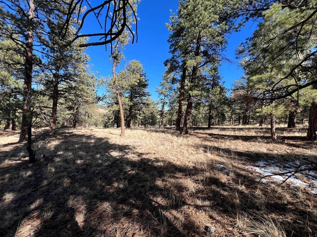 5.67 Acres, 2712 Osage Trail, Westcliffe, CO 81252 Land and Farm