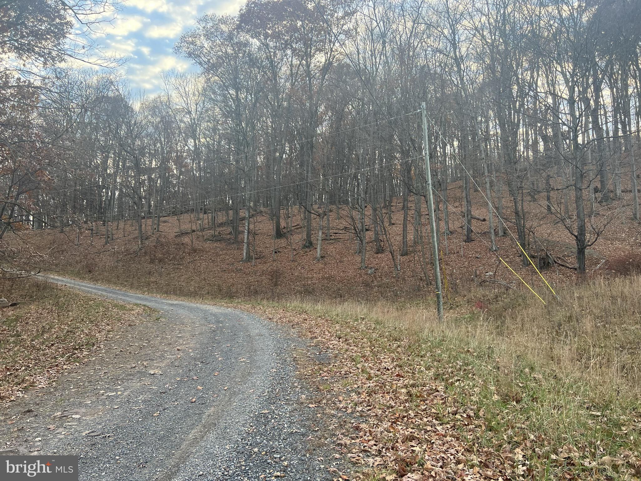 10.01 Acres, JOSEPH HANKS DRIVE, New Creek, WV 26743 Land and Farm