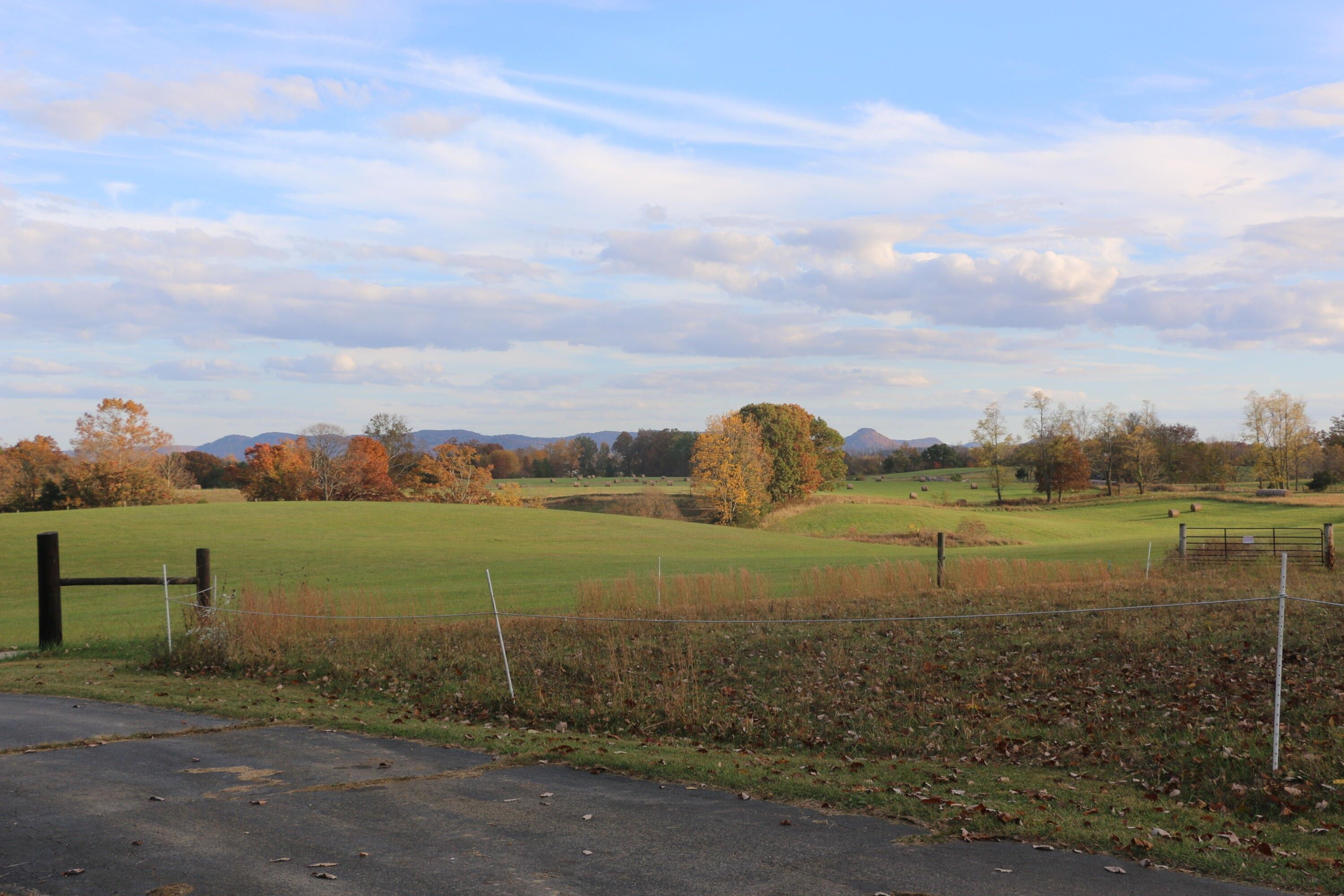 219.23 Acres, 1455 Old Log Lick Road, Winchester, KY 40391 Land and Farm