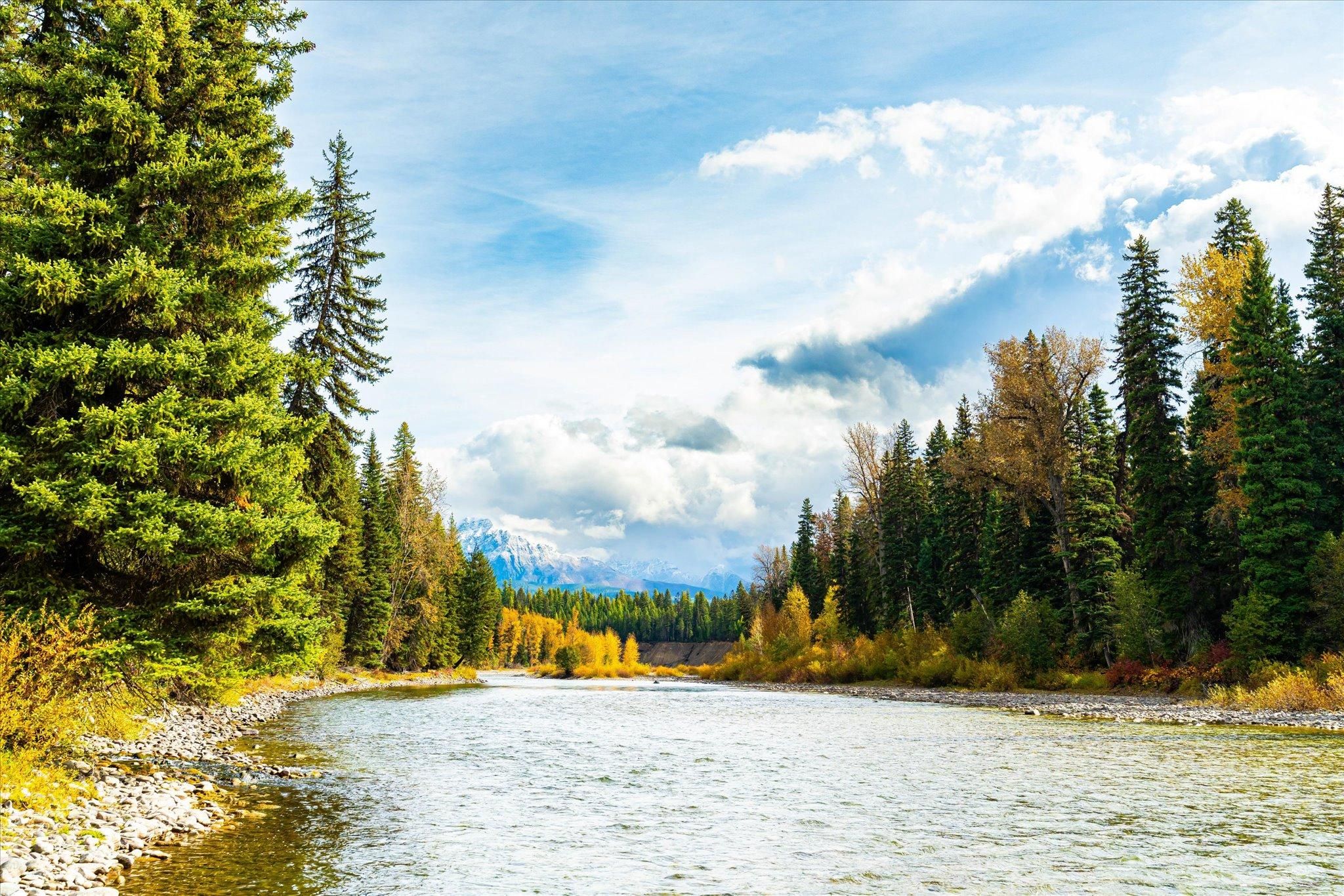 13800 North Fork Road, Polebridge, MT 59928 MLS 30014711 Land and Farm