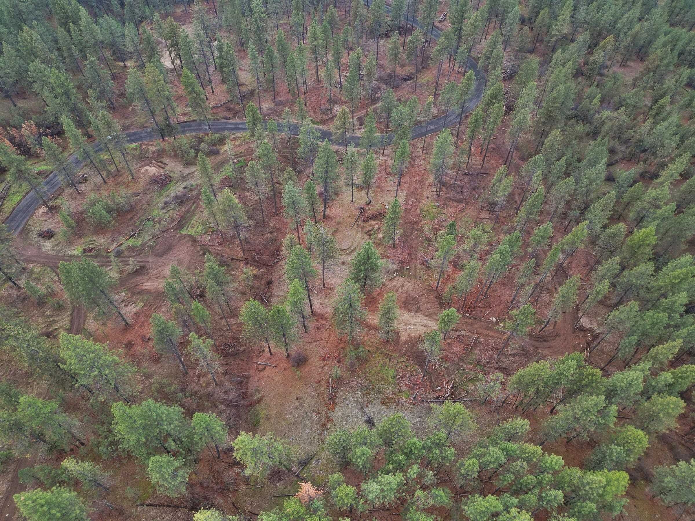 4 Acres, Nka Weaver, Deer Park, WA 99006 Land and Farm