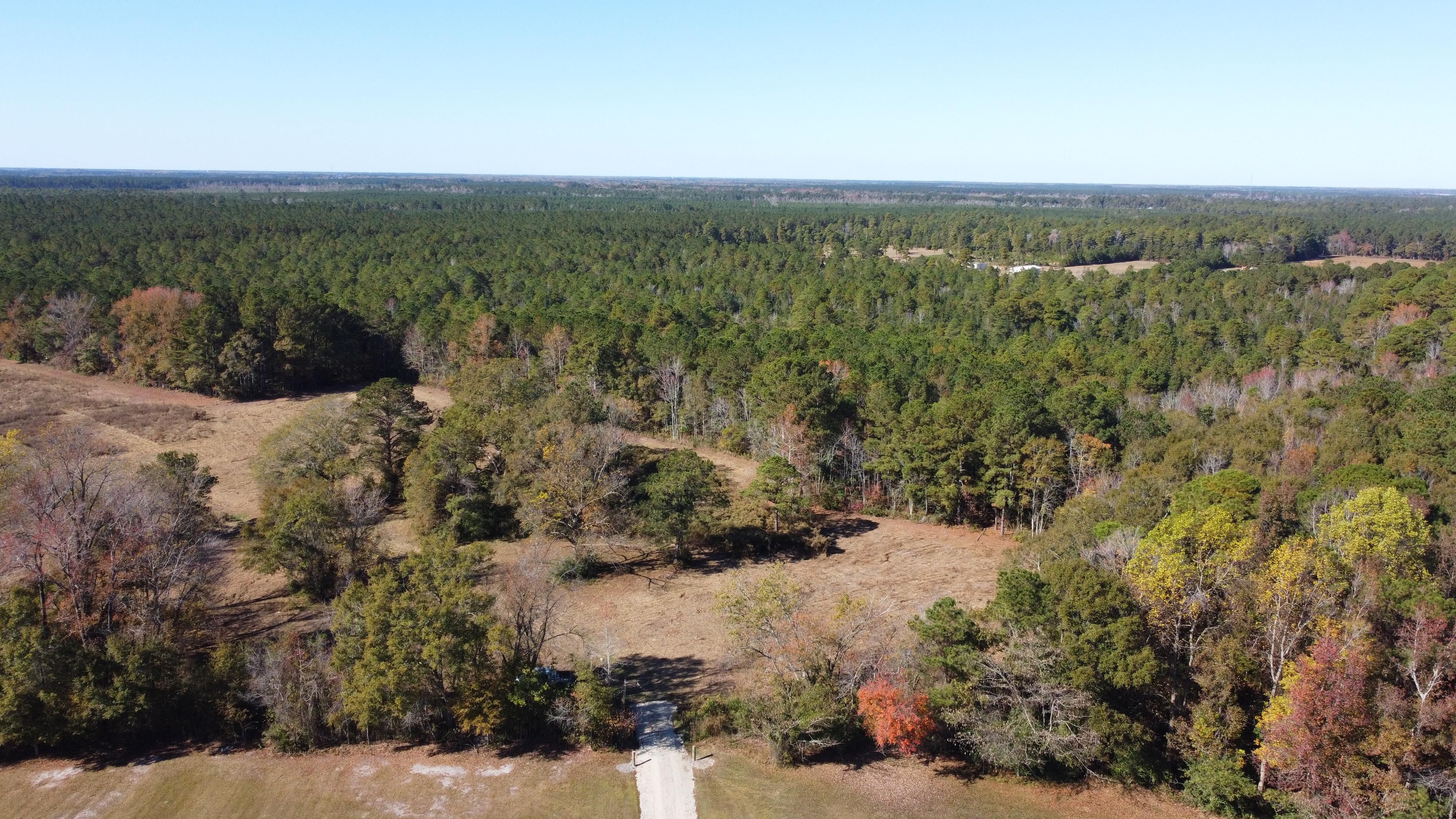 44 Acres, Haw Branch Rd, Beulaville, NC 28518 Land and Farm