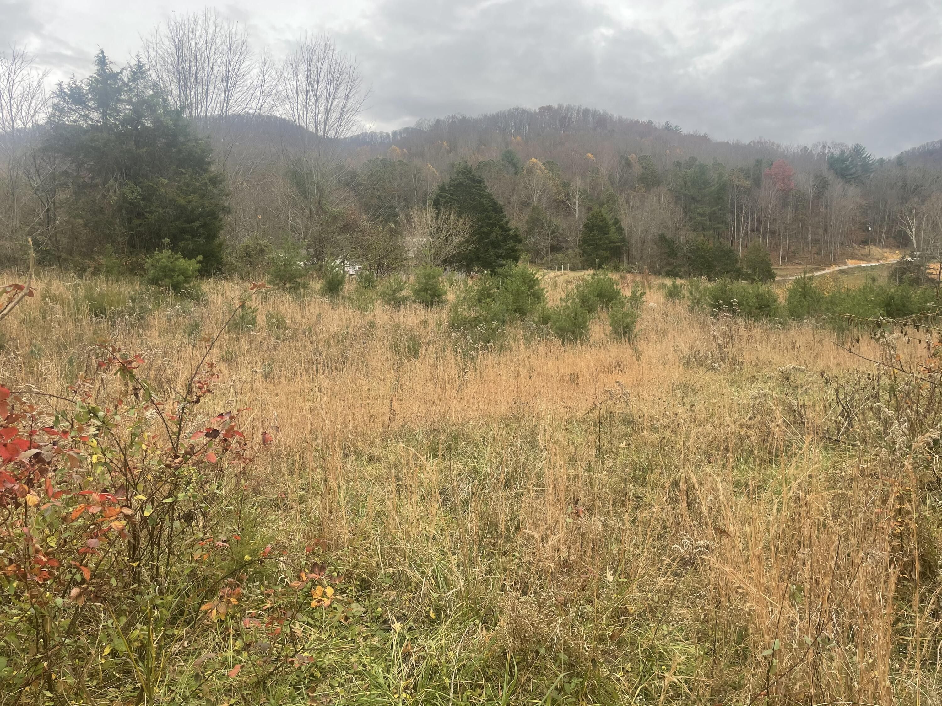000 Woodland Drive, Elizabethton, TN 37643 MLS 9959521 Land and Farm
