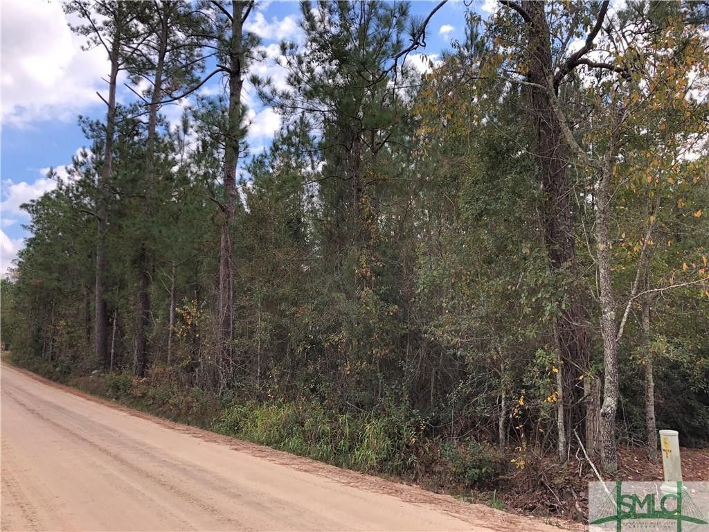 29.8 Acres, 0 Bell Road, Brooklet, GA 30415 Land and Farm