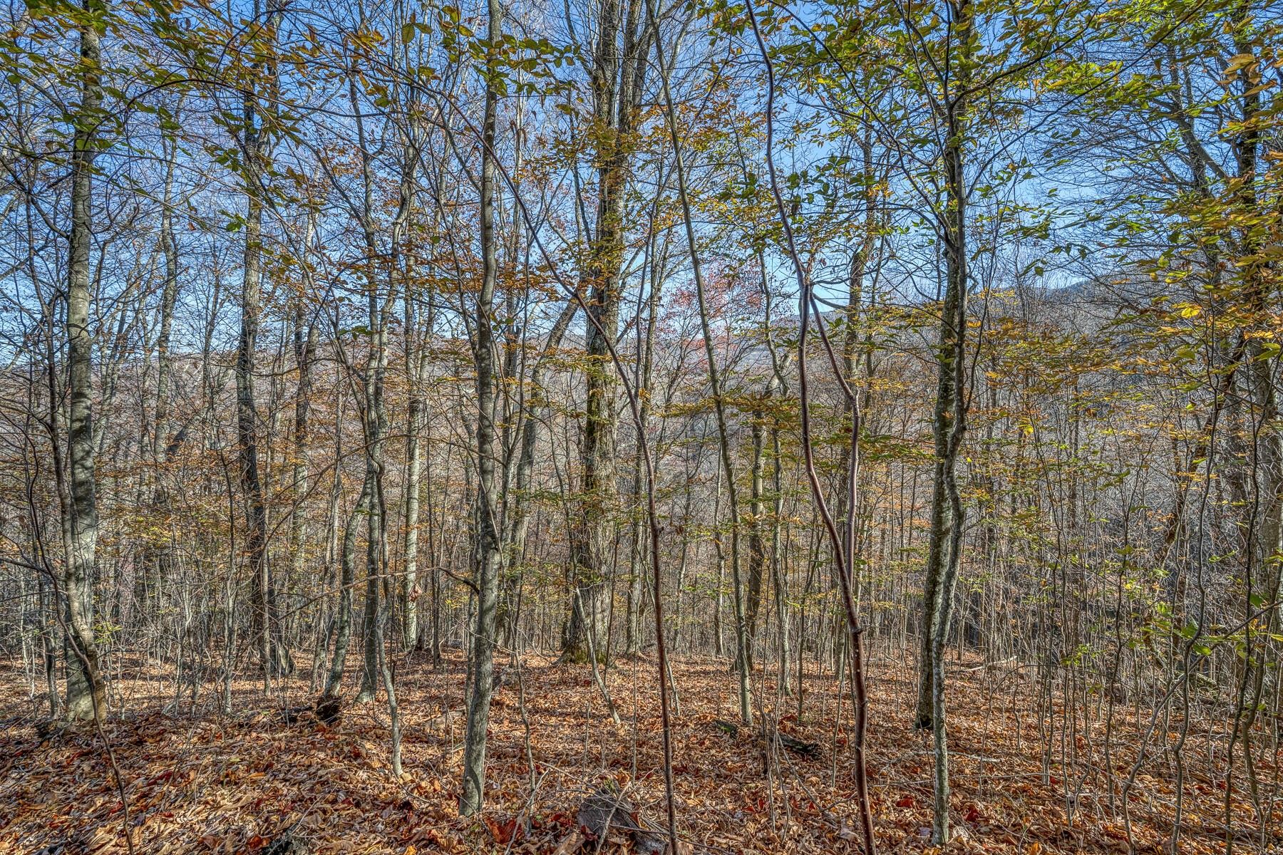 7.45 Acres, Lot 1 Timber Crest Drive, Roan Mountain, TN 37687 Land