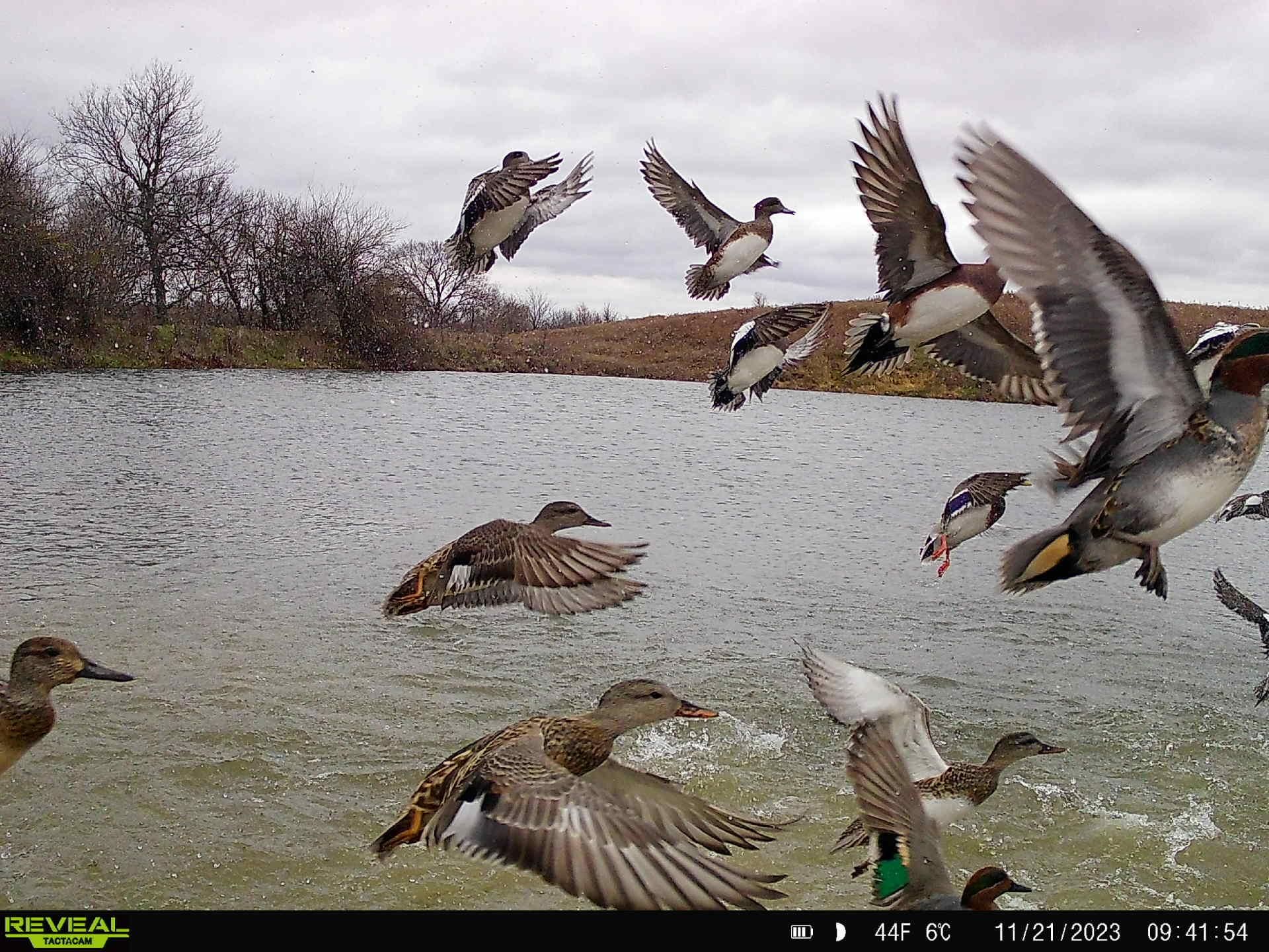 89 Acres, West 325th Street, Lebo, KS 66856 Land and Farm