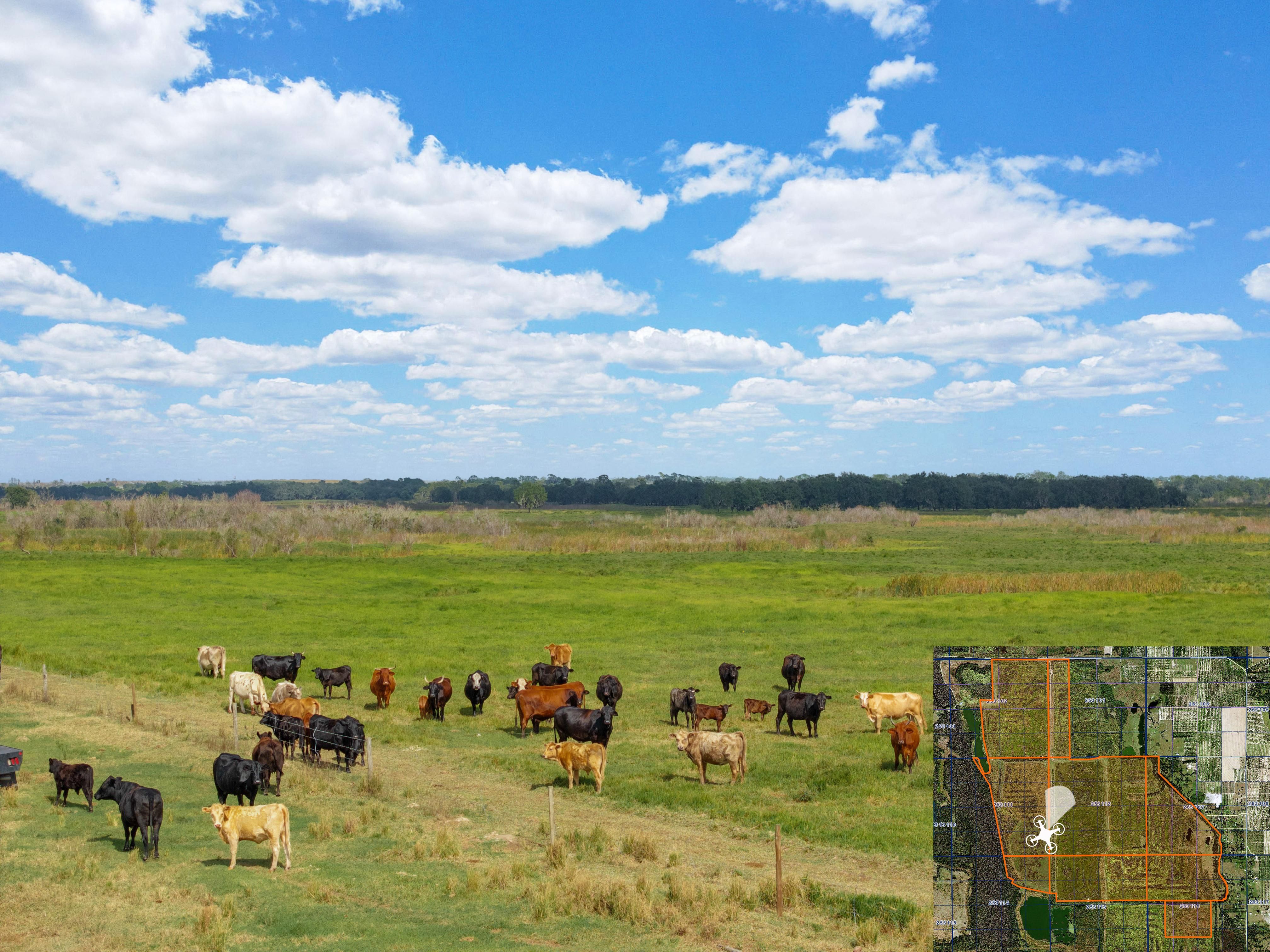 3201 HomelandGarfield Road, Bartow, FL 33830 Land and Farm