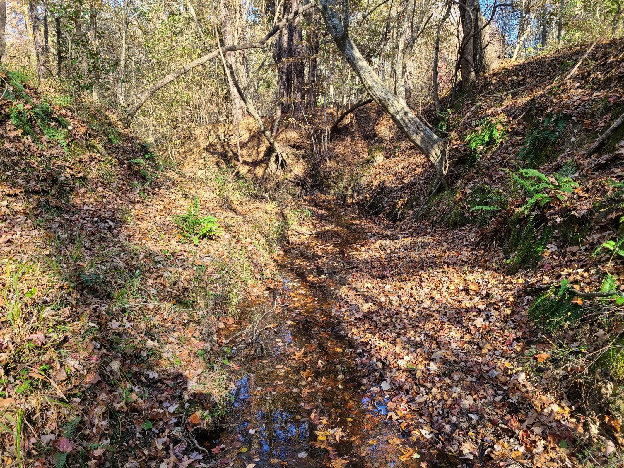 Old Blair Road, Pomaria, SC 29126 MLS 669008 Land and Farm