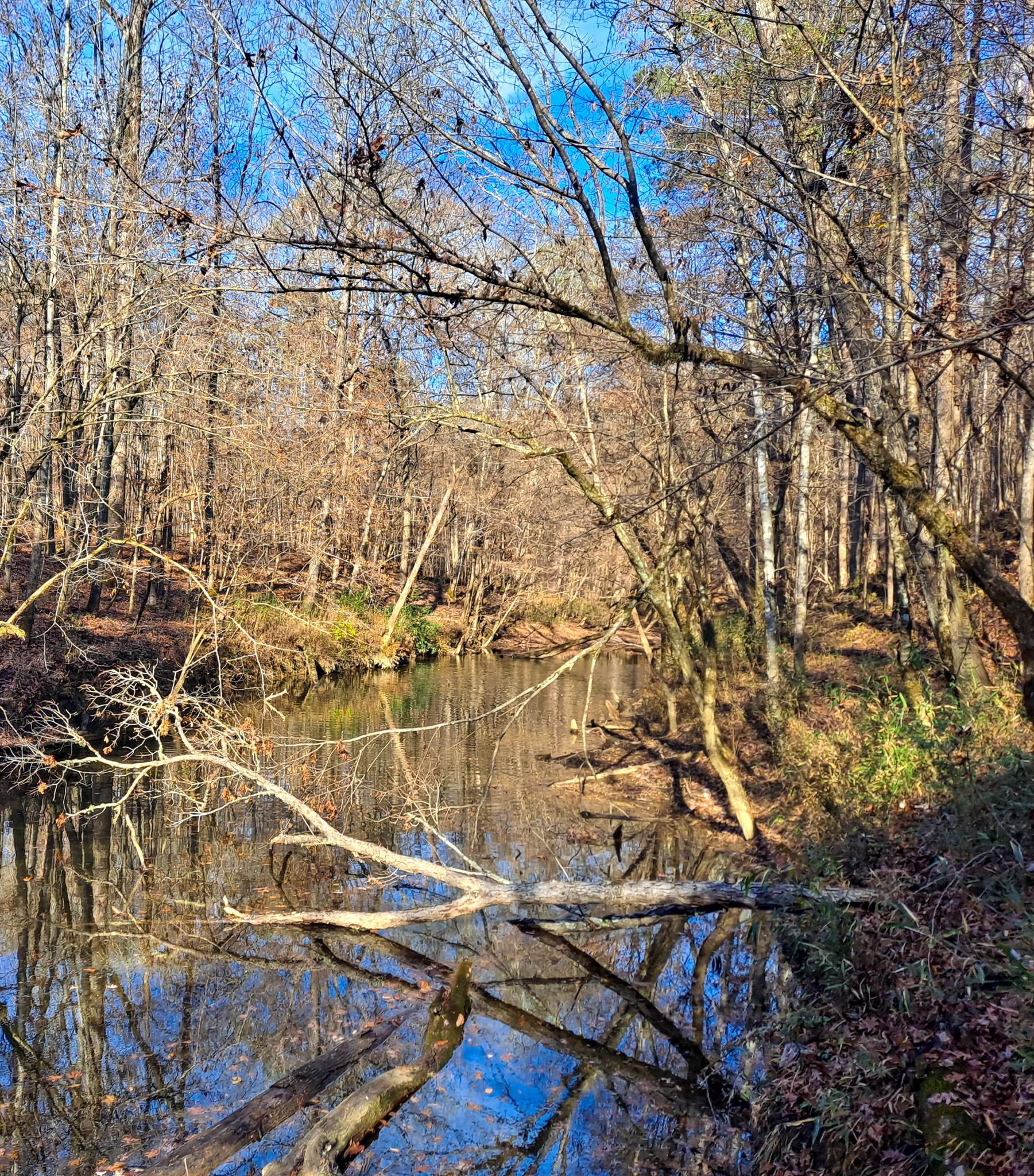 Williamstown Road, Parrish, AL 35580 MLS Williamstown Land and Farm