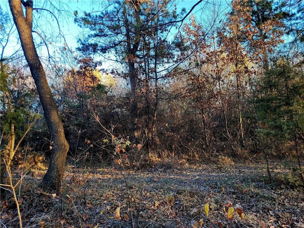 5 Acres, Tract D North RD, Summers, AR 72769 Land and Farm