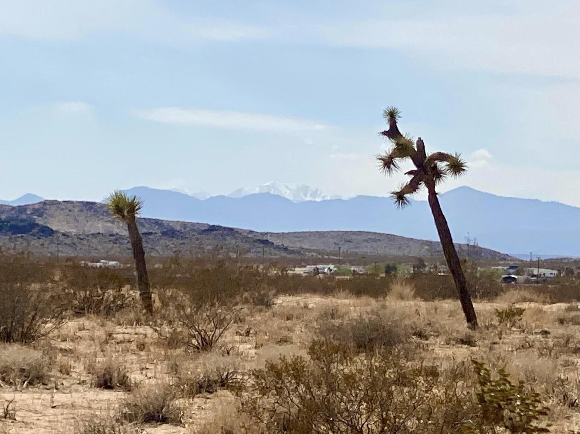 9 Acres, 155 Bowman Trail, Landers, CA 92285 Land and Farm