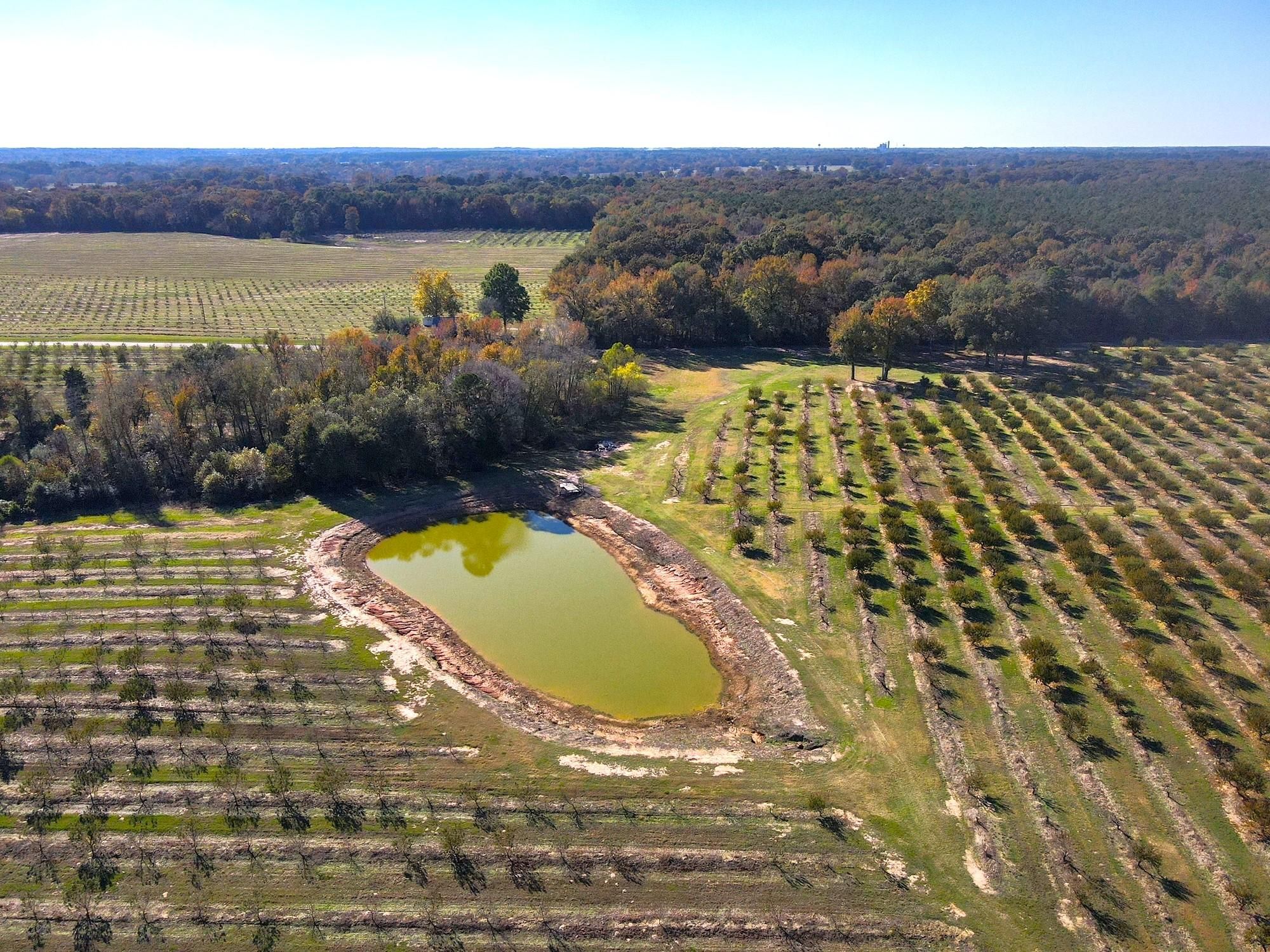 18.8 Acres, TBD CR 4230, Pittsburg, TX 75686 Land and Farm