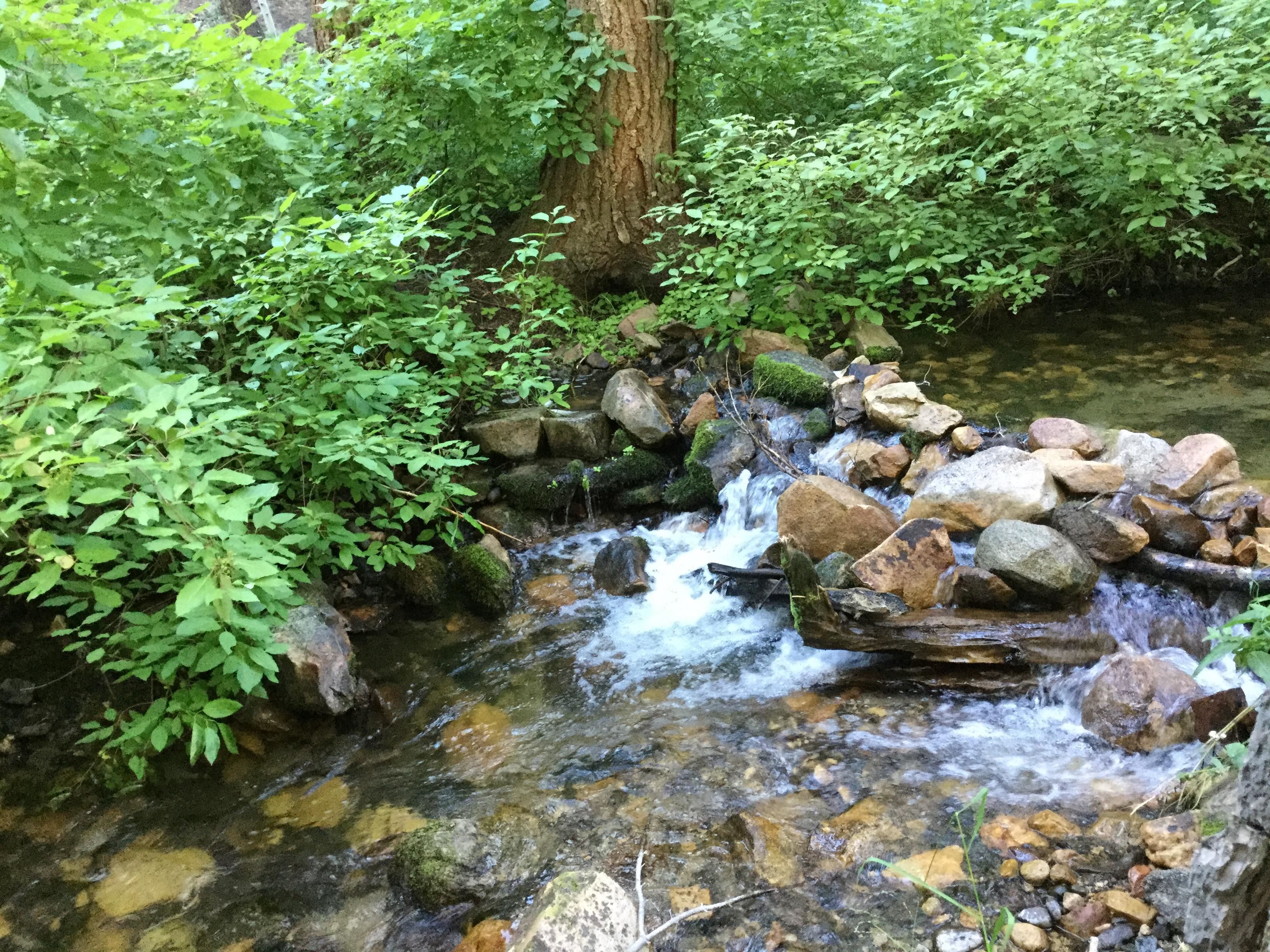 Mill Canyon Road, Coleville, CA 96107 MLS Exclusive Land and Farm