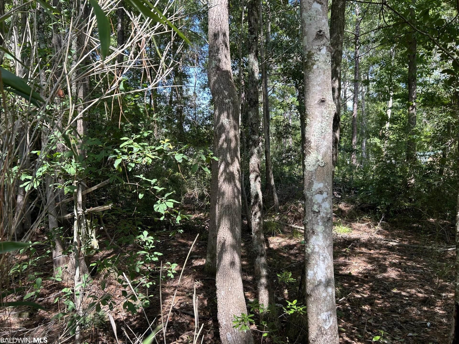 0.19 Acres, 0 Royal River Drive, Coden, AL 36523 Land and Farm