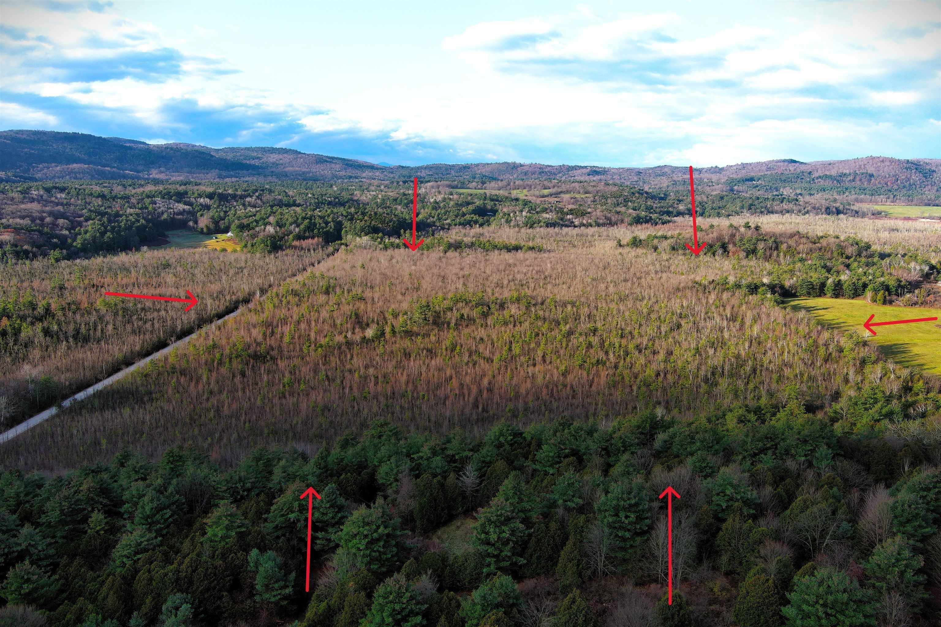 30 Acres, 0 Long Swamp Road, Brandon, VT 05733 Land and Farm