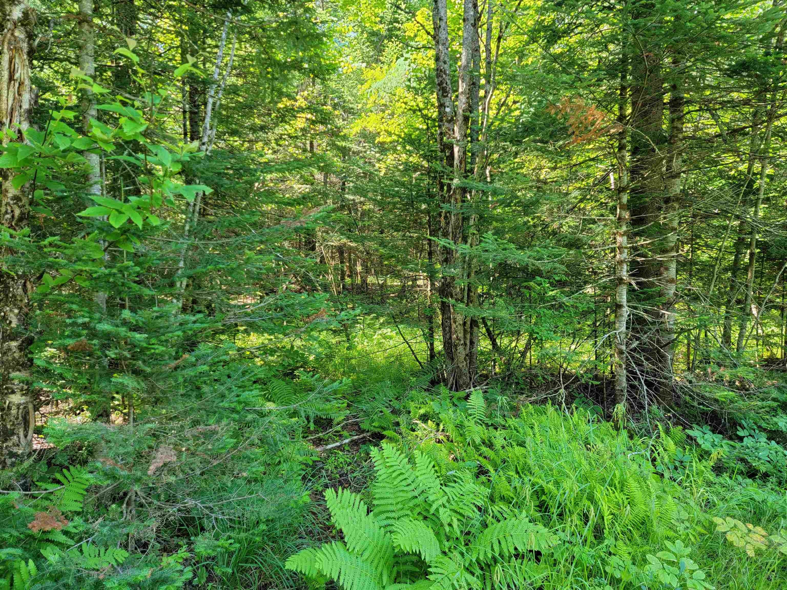 Christie Road, Stratford, NH 03590 MLS 4979163 Land and Farm