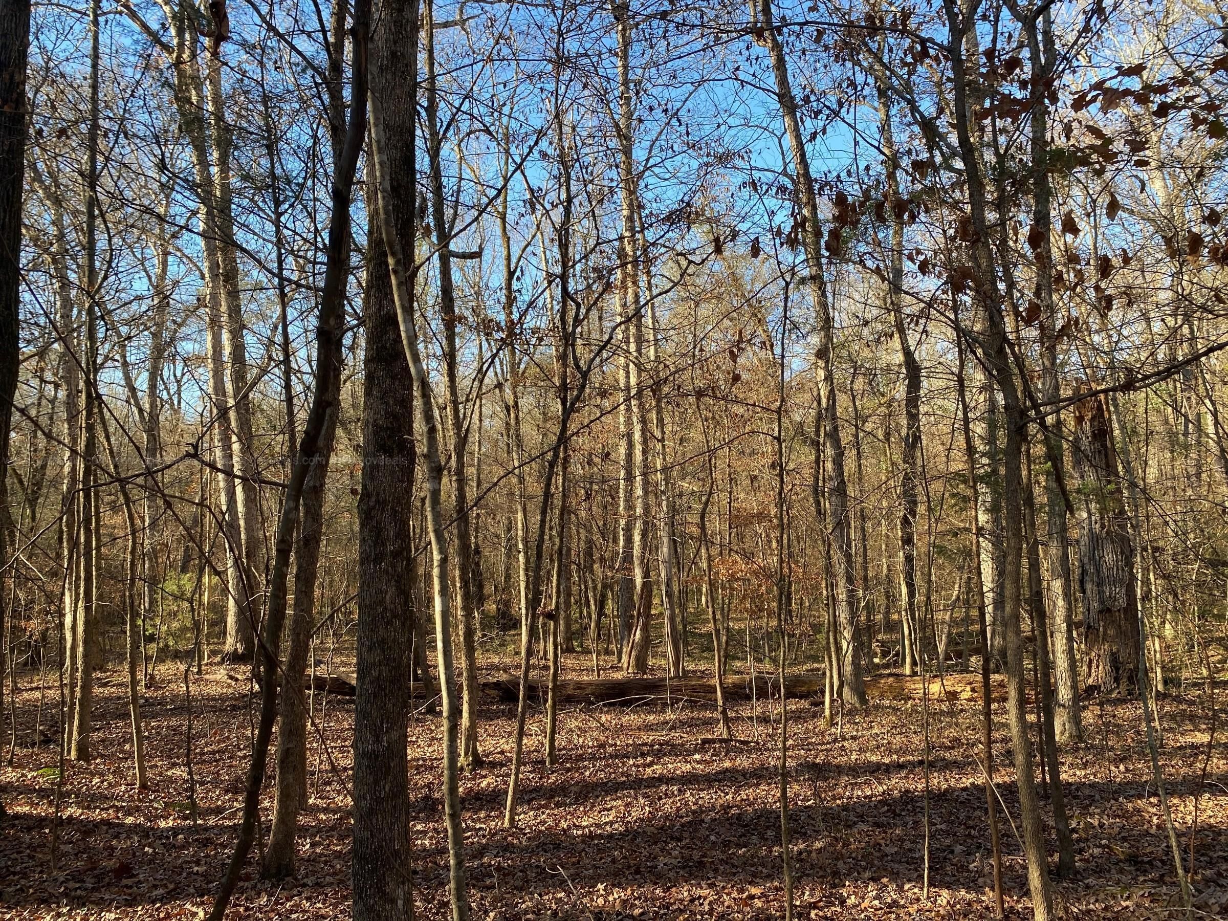 1.03 acres in Saluda, SC, 29138 Land and Farm