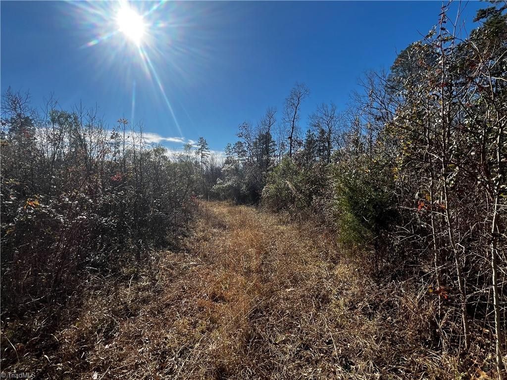 3010 Jerusalem Road, Lexington, NC 27292 MLS 1126933 Land and Farm