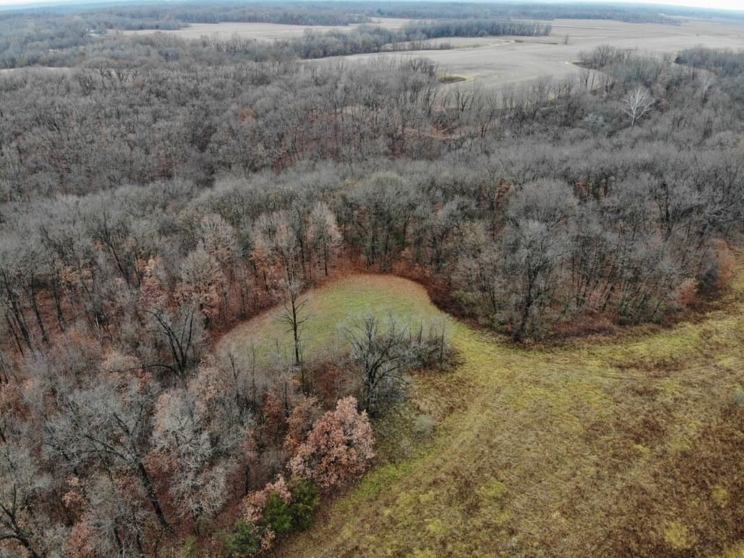 61 Acres, Mount Sterling, IL 62353 Land and Farm