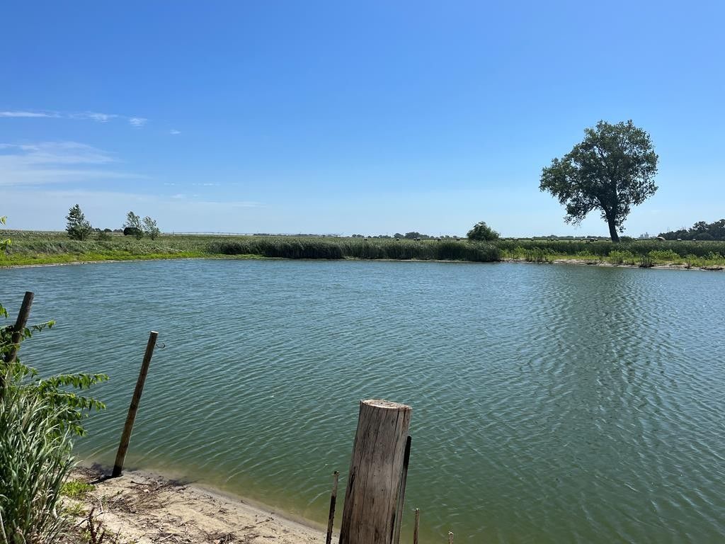 4.25 Acres, TBD Highway 92, Central City, NE 68826 Land and Farm