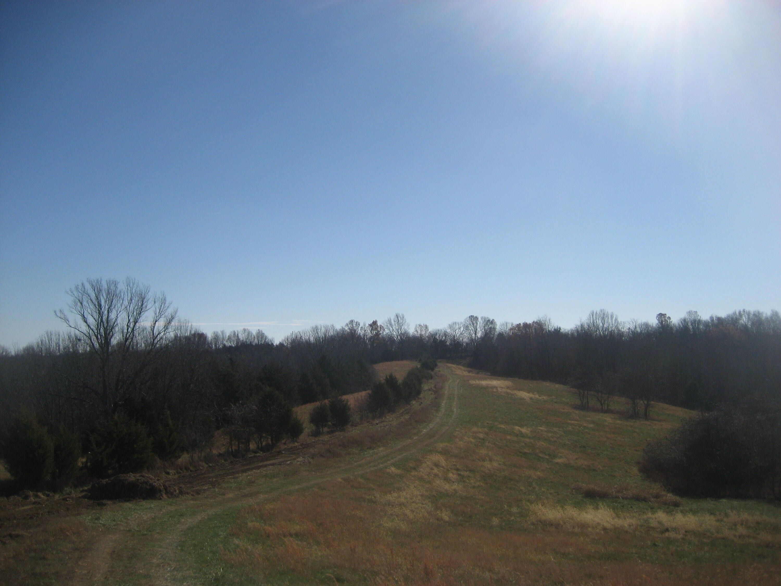 93 Acres, 1433B Seaville Road, Willisburg, KY 40078 Land and Farm