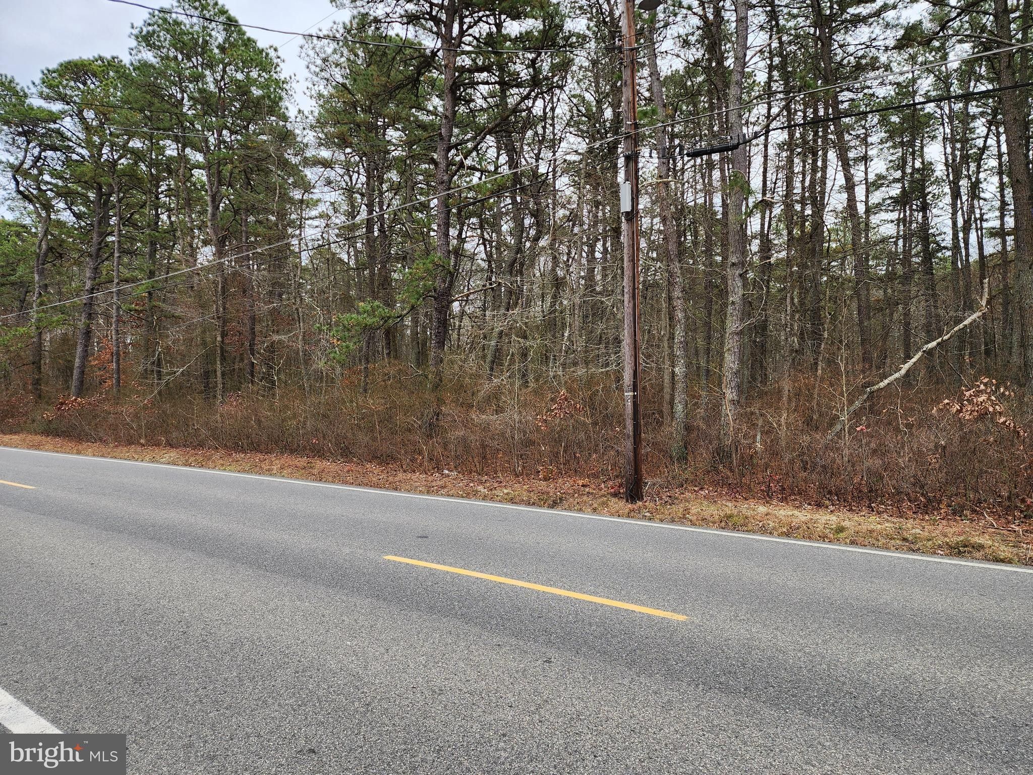 0 LONG SWAMP ROAD, New Egypt, NJ 08533 MLS NJOC2022788 Land and Farm