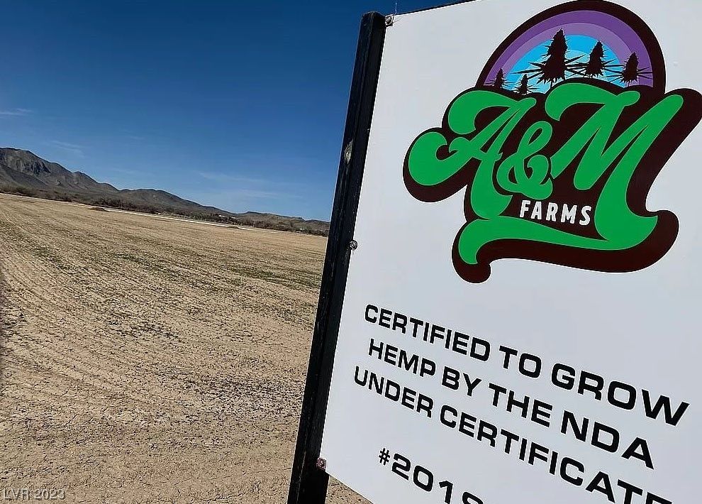 20 Acres, 2190 N Barney Street, Pahrump, NV 89060 Land and Farm