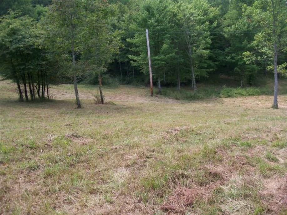 31.9 Acres, 692 Top of World Drive, Louisa, KY 41230 Land and Farm